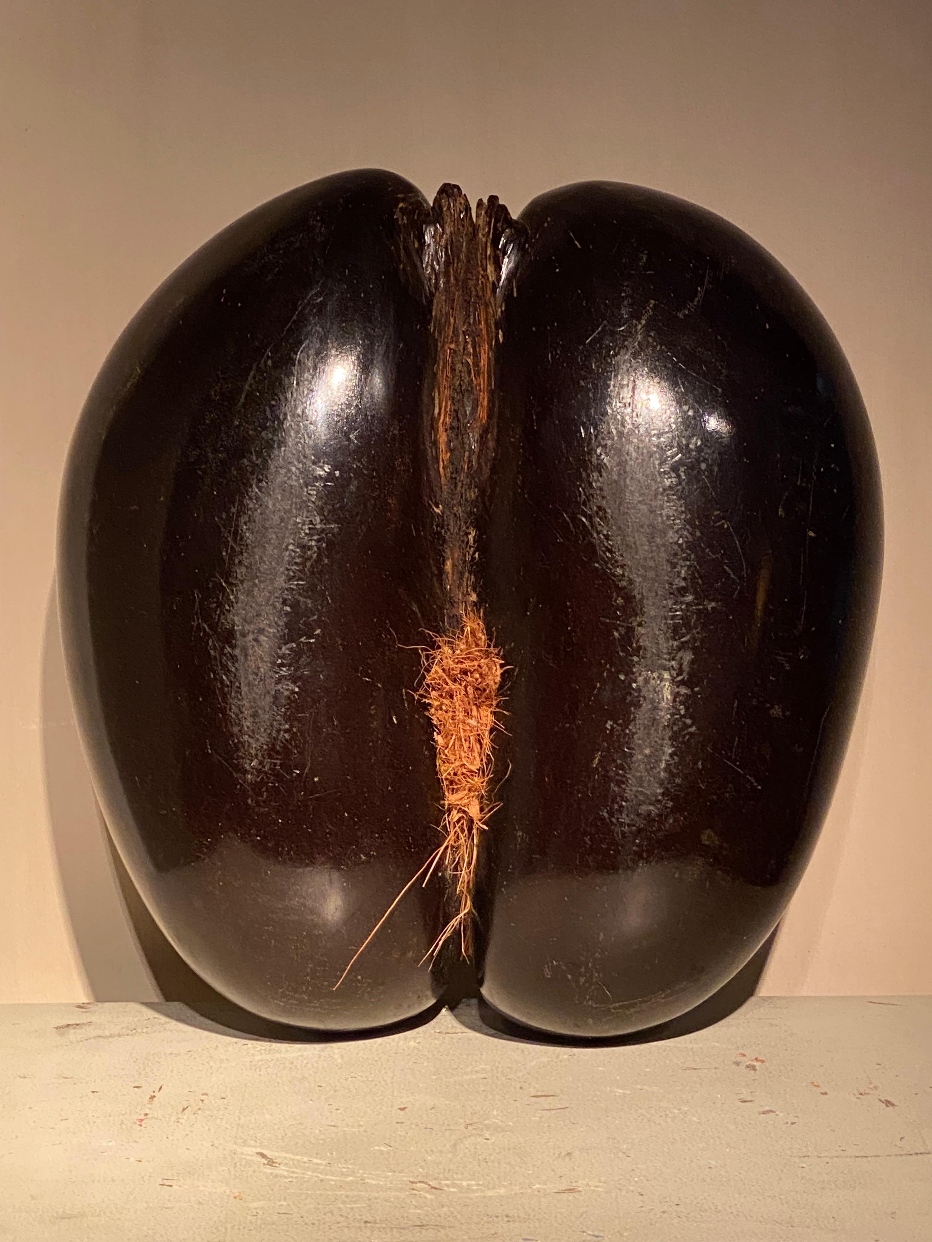 A Cocco De Fesses For Sale 3
