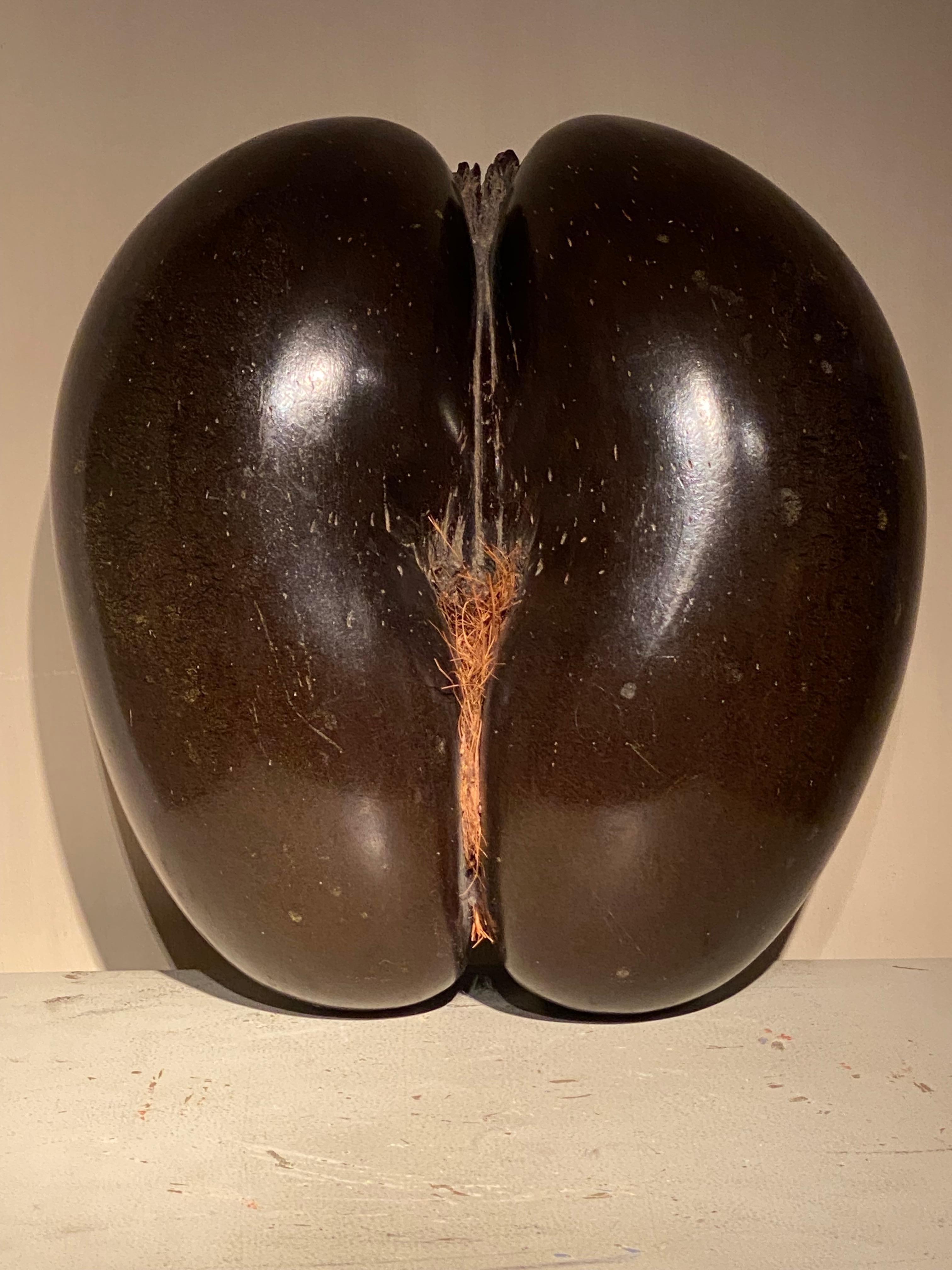 A Cocco De Fesses For Sale 4