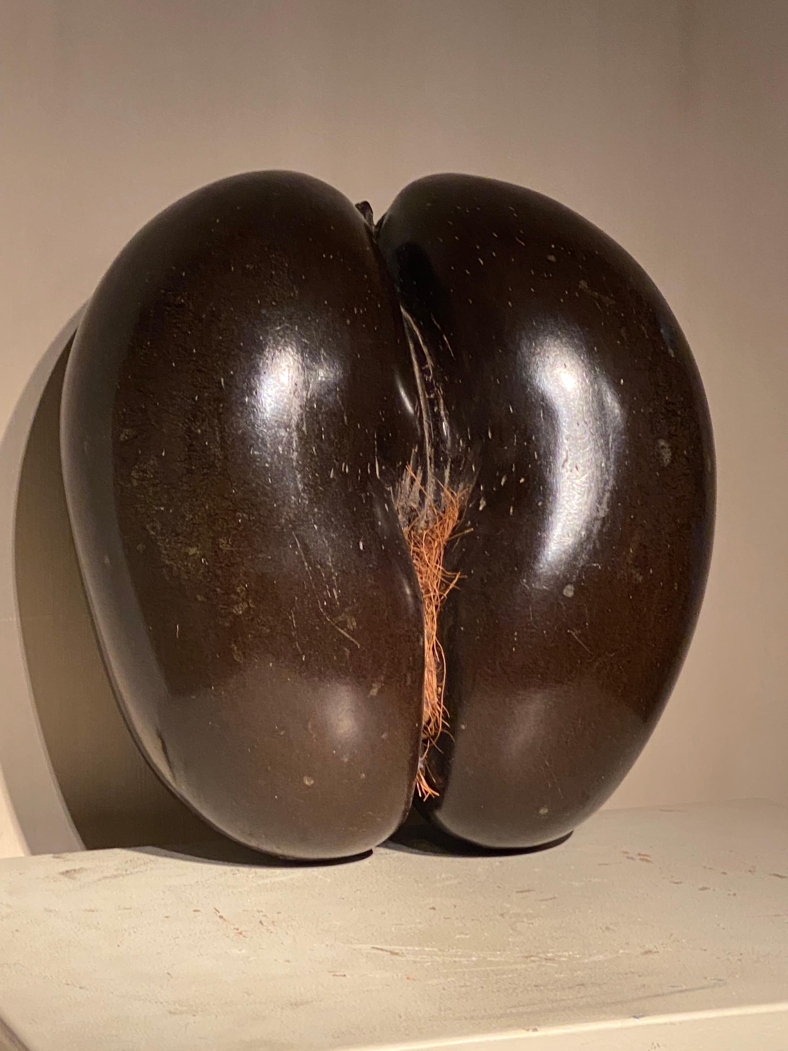 A Cocco De Fesses For Sale 6
