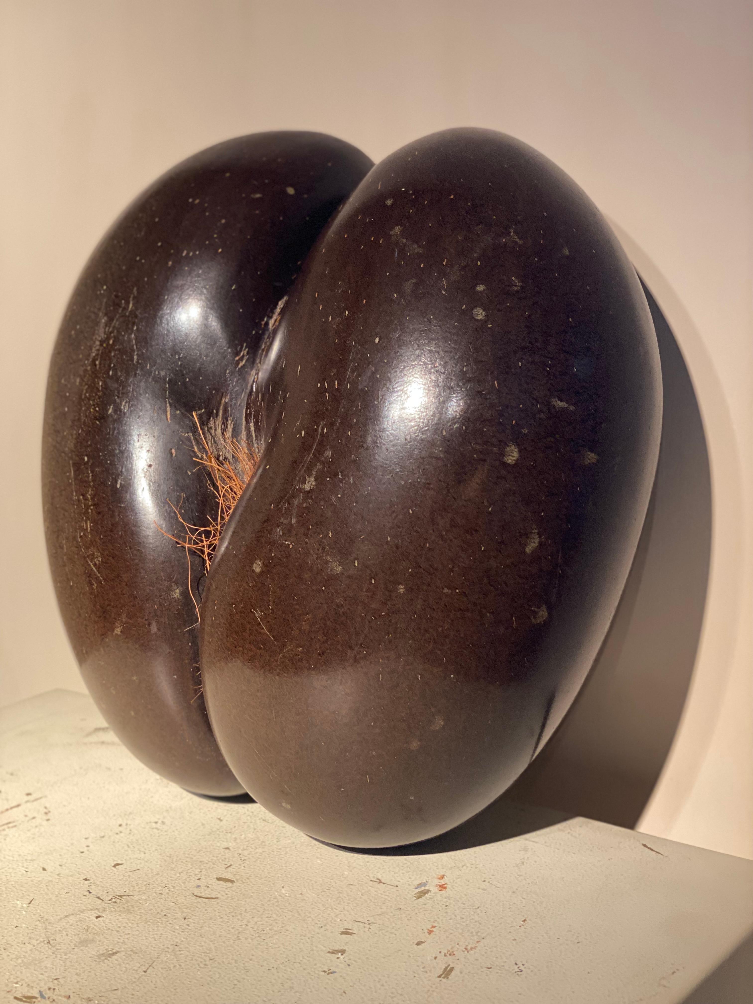Seychellois A Cocco De Fesses For Sale