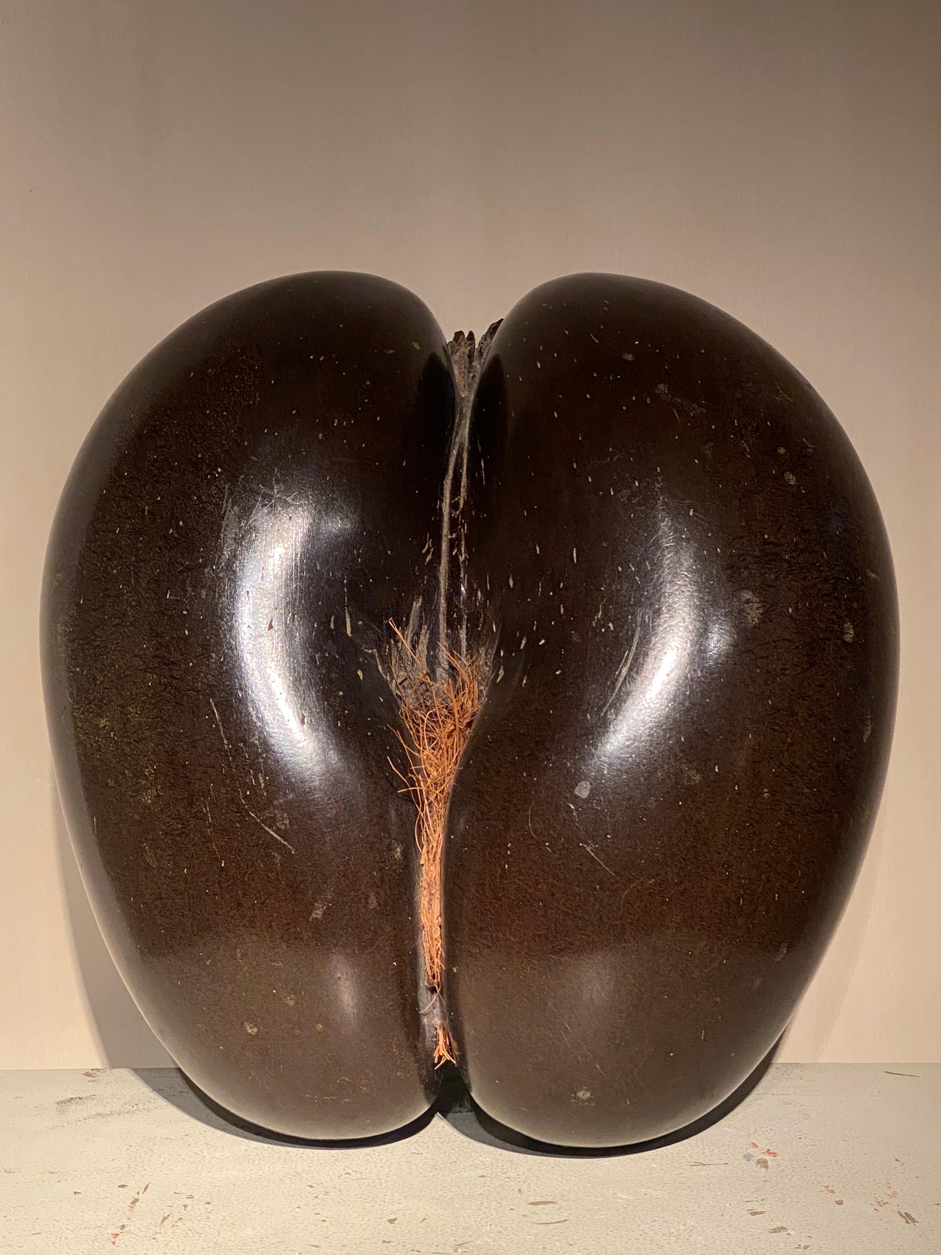 Coconut A Cocco De Fesses For Sale