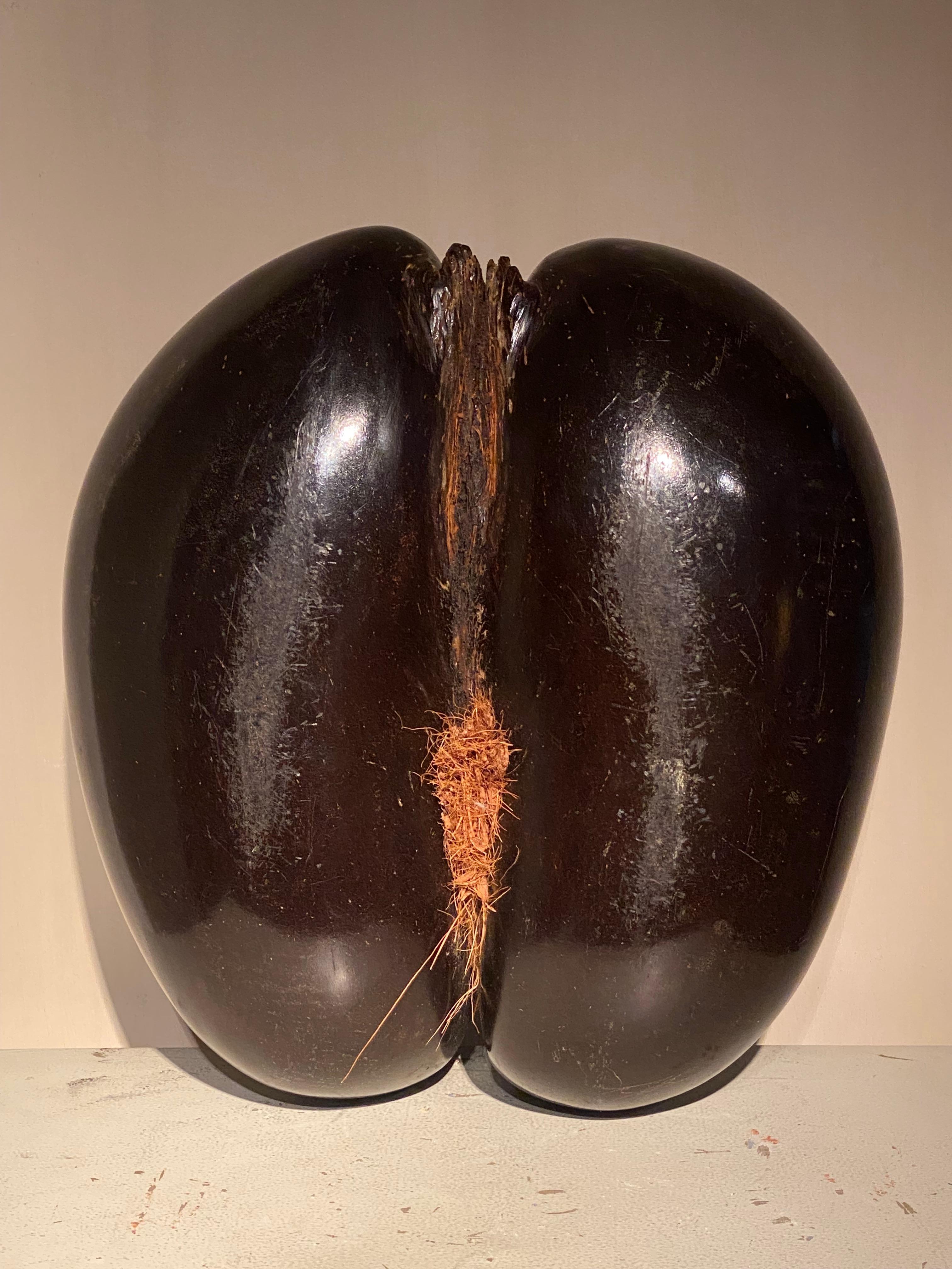 A Cocco De Fesses For Sale 1