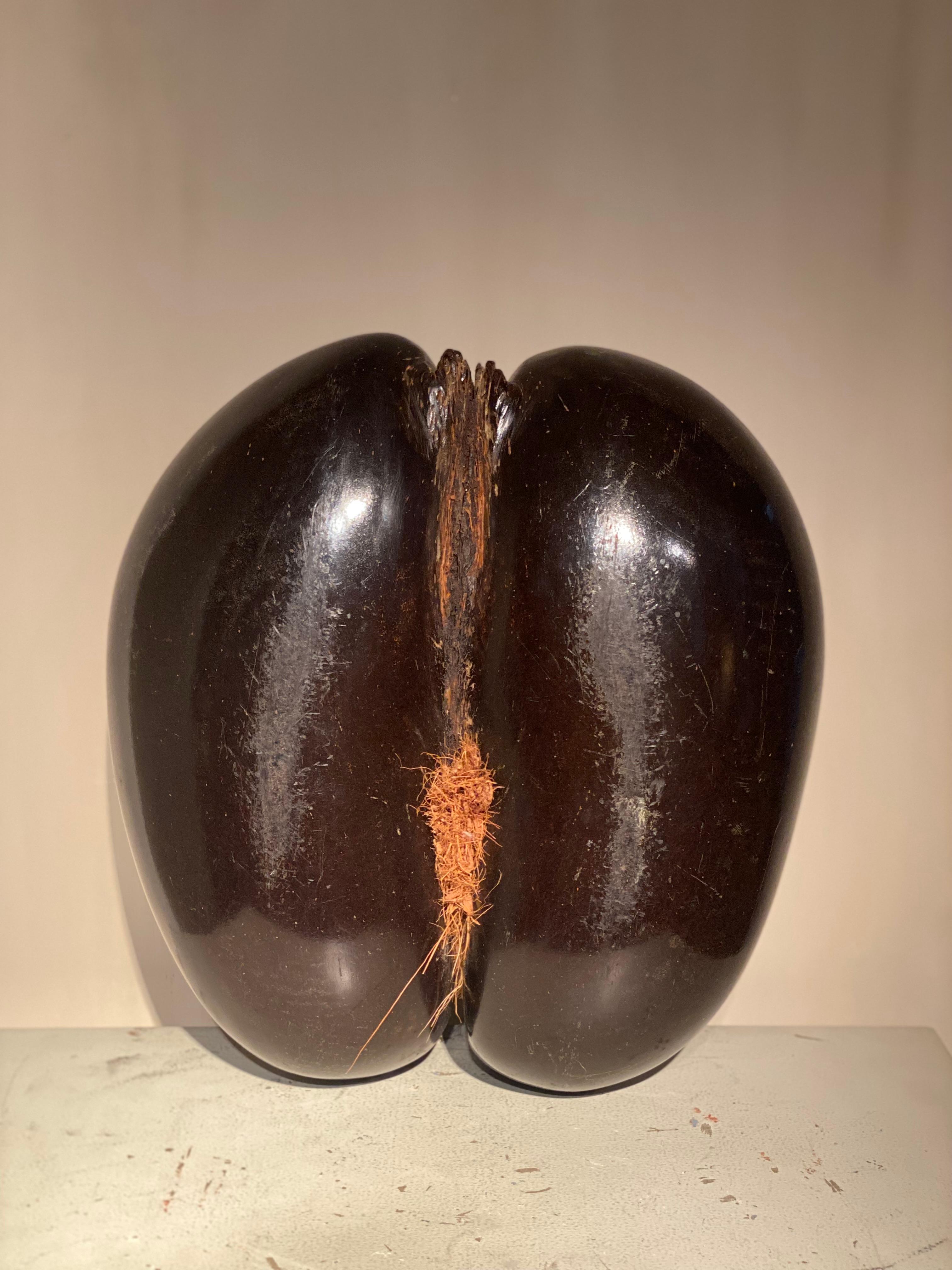 A Cocco De Fesses For Sale 2