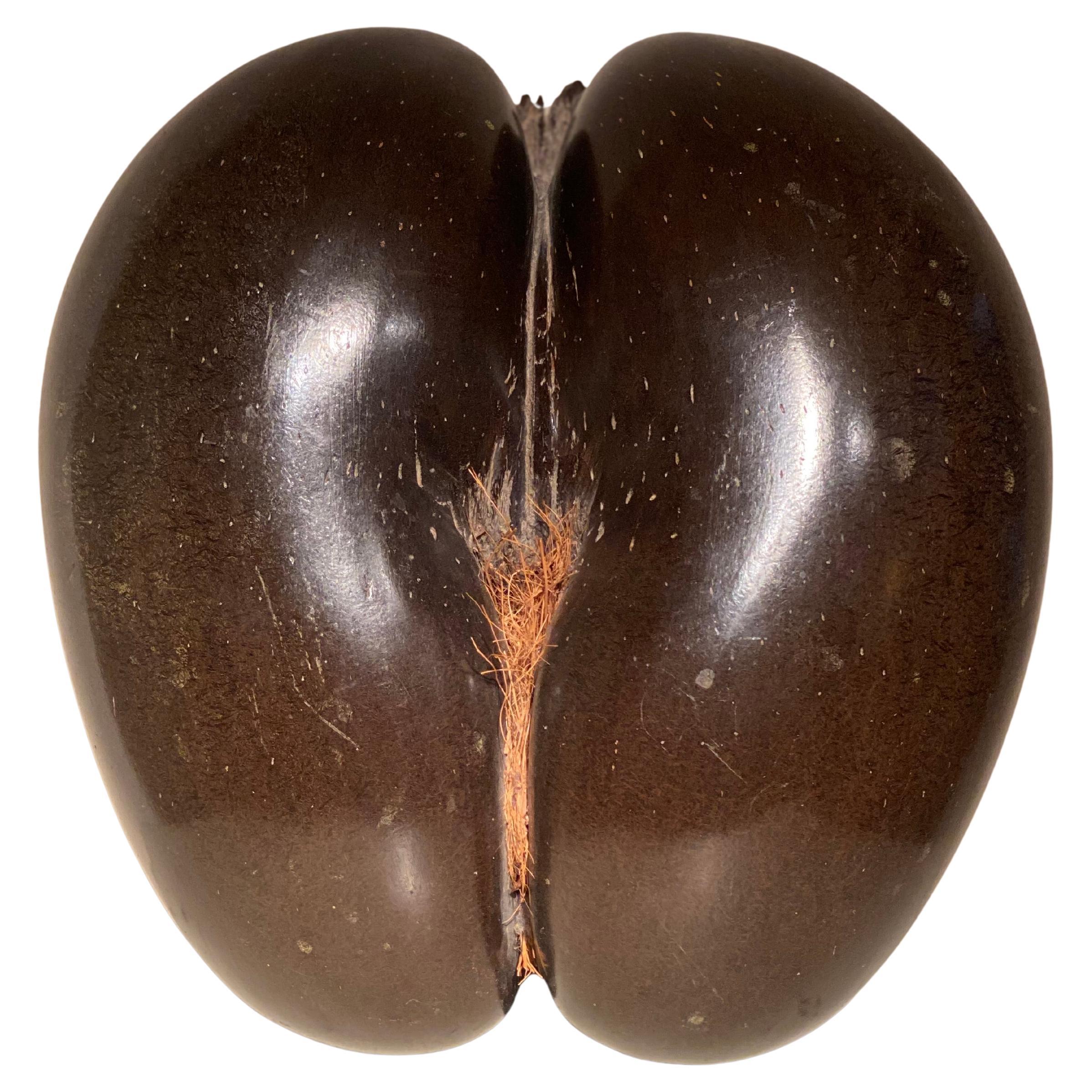 A Cocco De Fesses For Sale