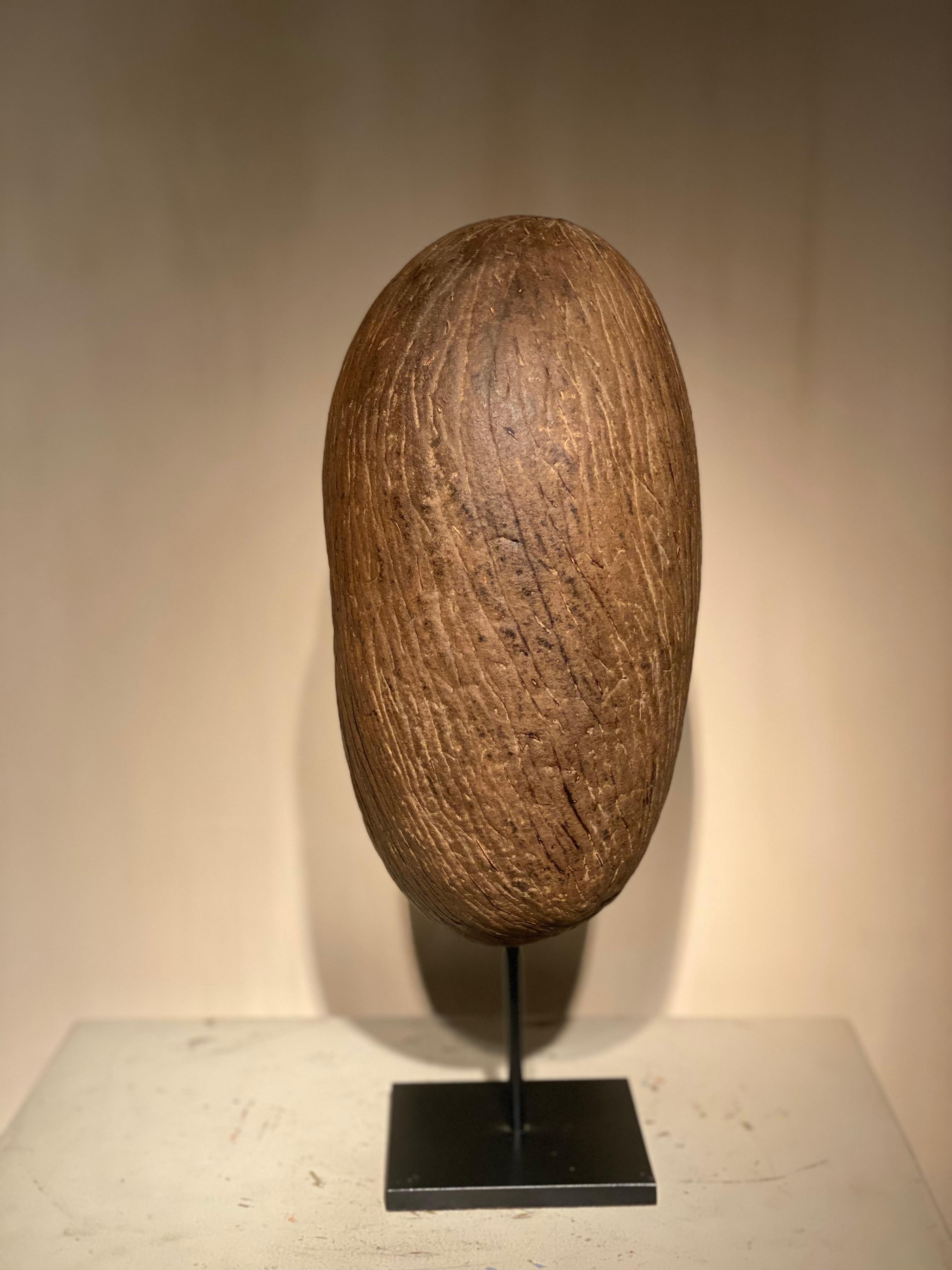 A Cocco De Mer mediados del siglo XX en venta