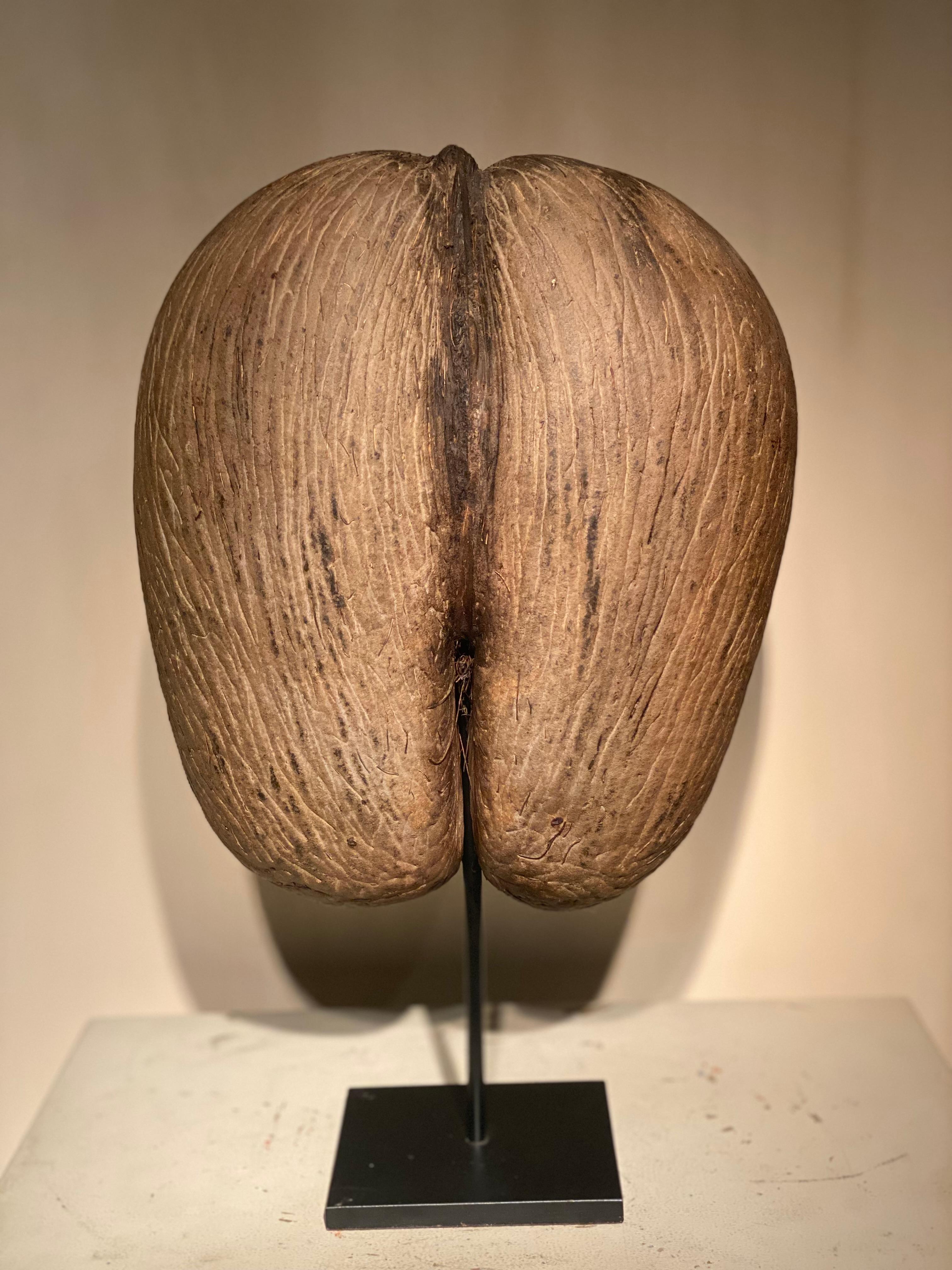 A Cocco De Mer Coco en venta