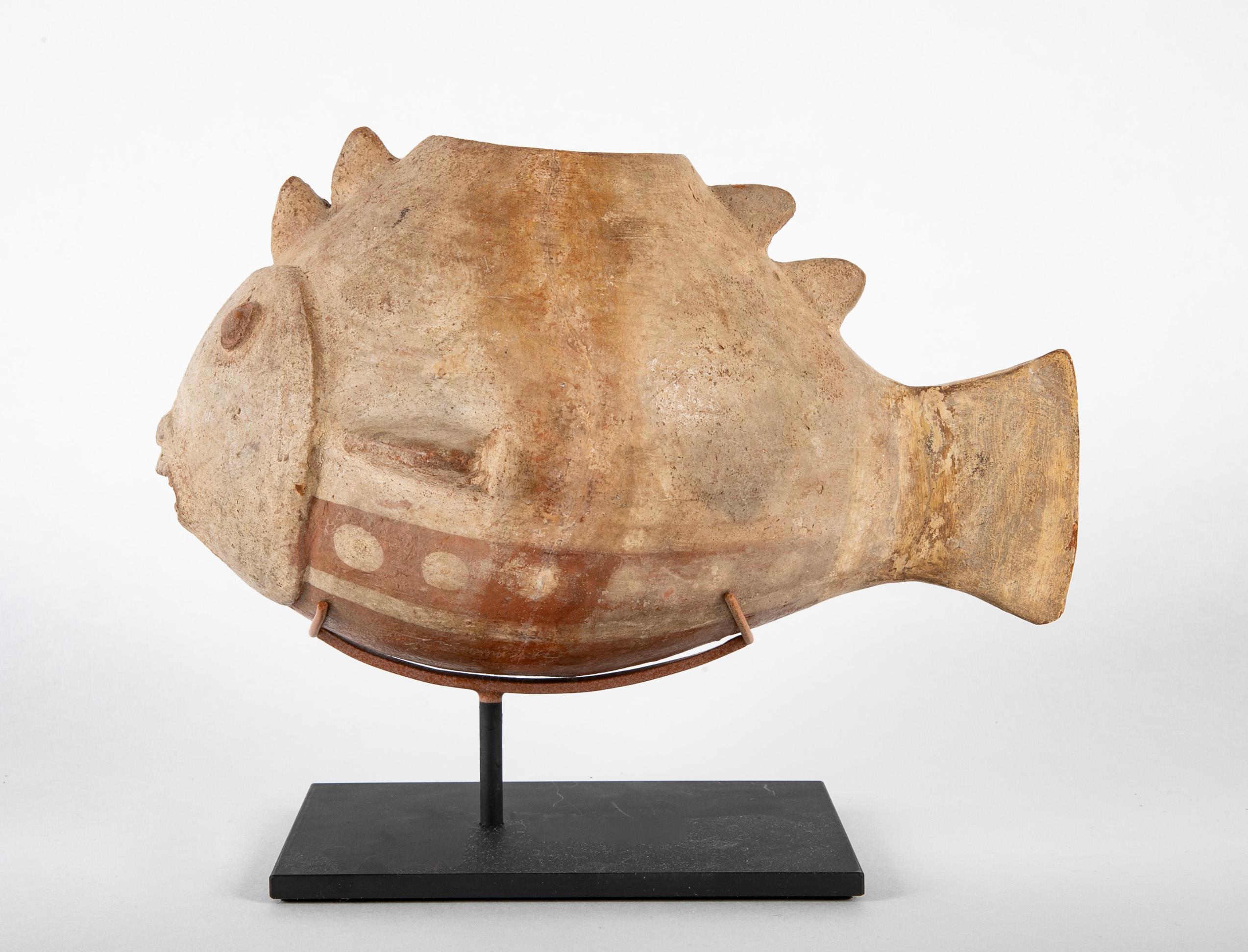 A Colima shark effigy vessel.  Mexico.  1st Century BC - 2nd Century AD.
On stand : 7.5