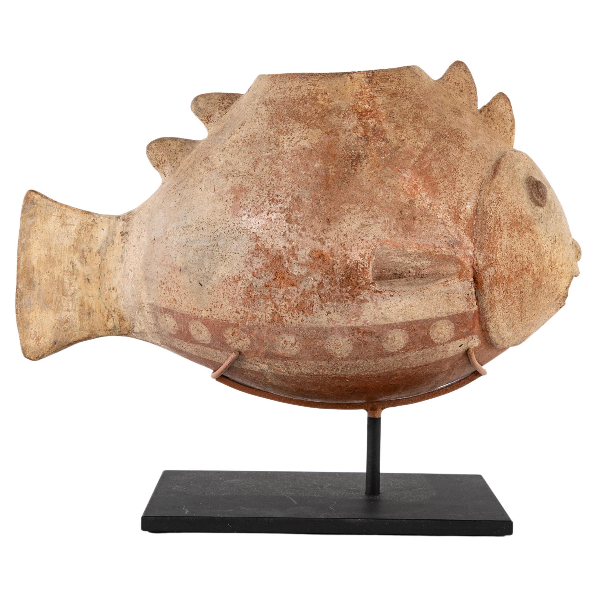 A Colima Shark Effigy Vessel For Sale