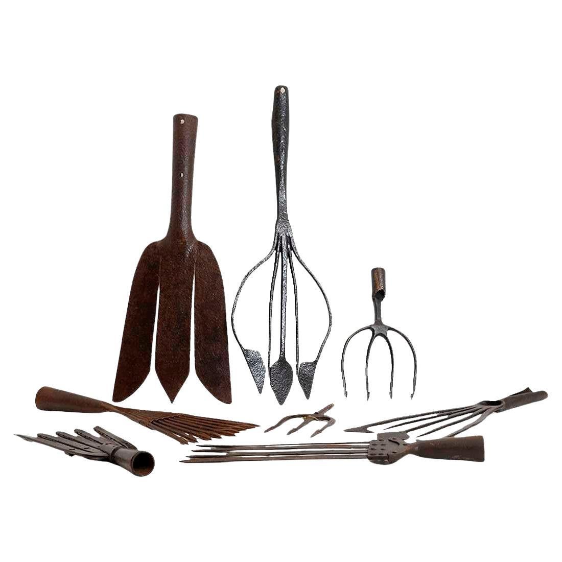 A collection of 18th and 19th Century Eel Speers For Sale