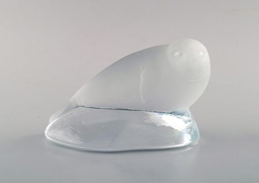 Une collection de 5 sculptures en verre d'art avec des motifs d'animaux arctiques. Conçu, entre autres, par Mats Johansson. Design suédois, années 1980. Motifs d'ours polaire, d'otarie et de phoques.
En très bon état.
Signé.
Les plus grandes