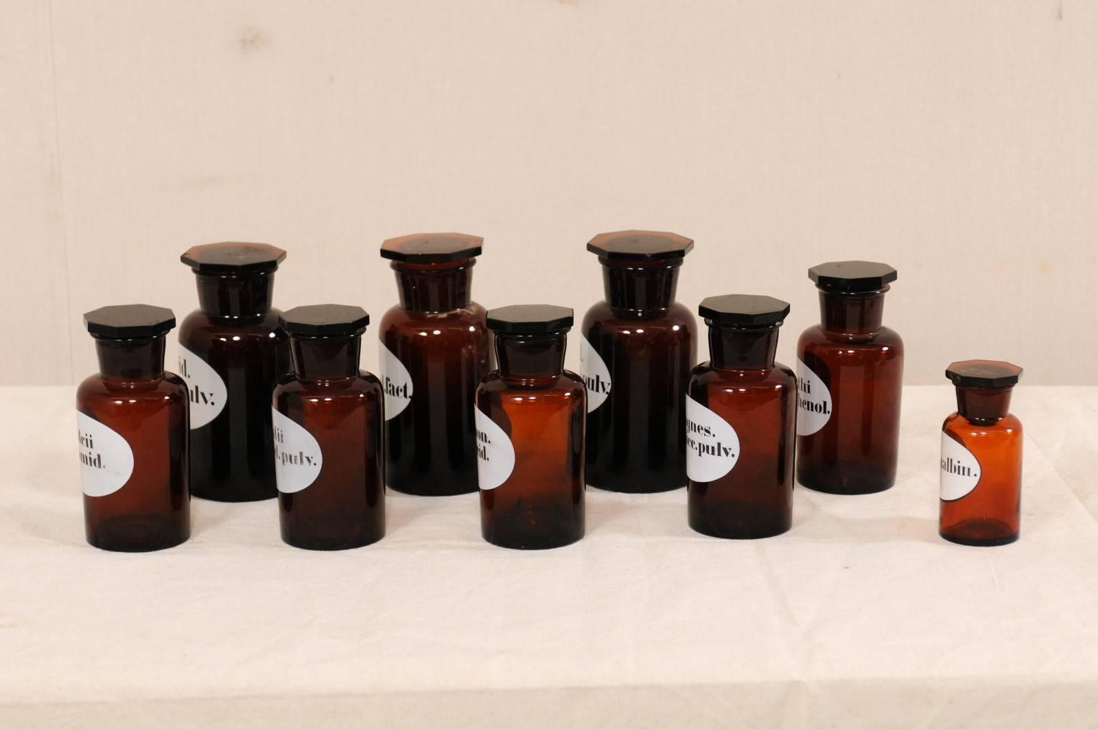 Collection of Nine Swedish Apothecary Jars from the Early 20th Century For Sale 6