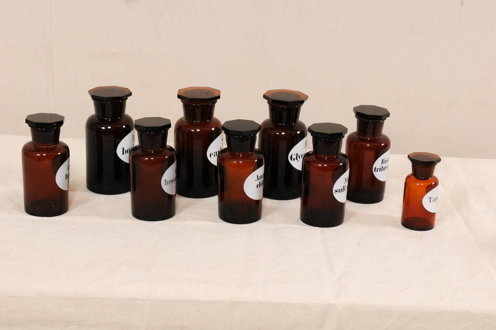 Collection of Nine Swedish Apothecary Jars from the Early 20th Century For Sale 4