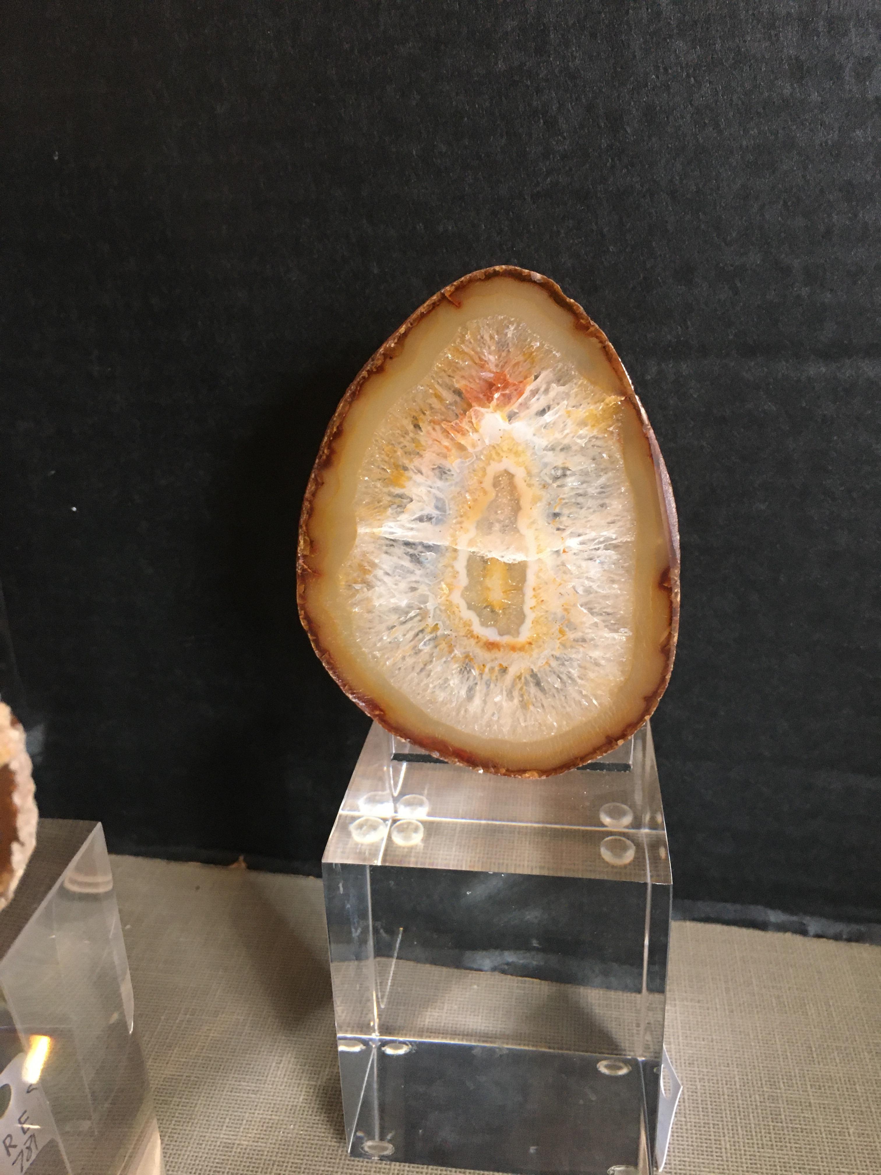 20th Century Collection of Agate Slices Mounted on Lucite