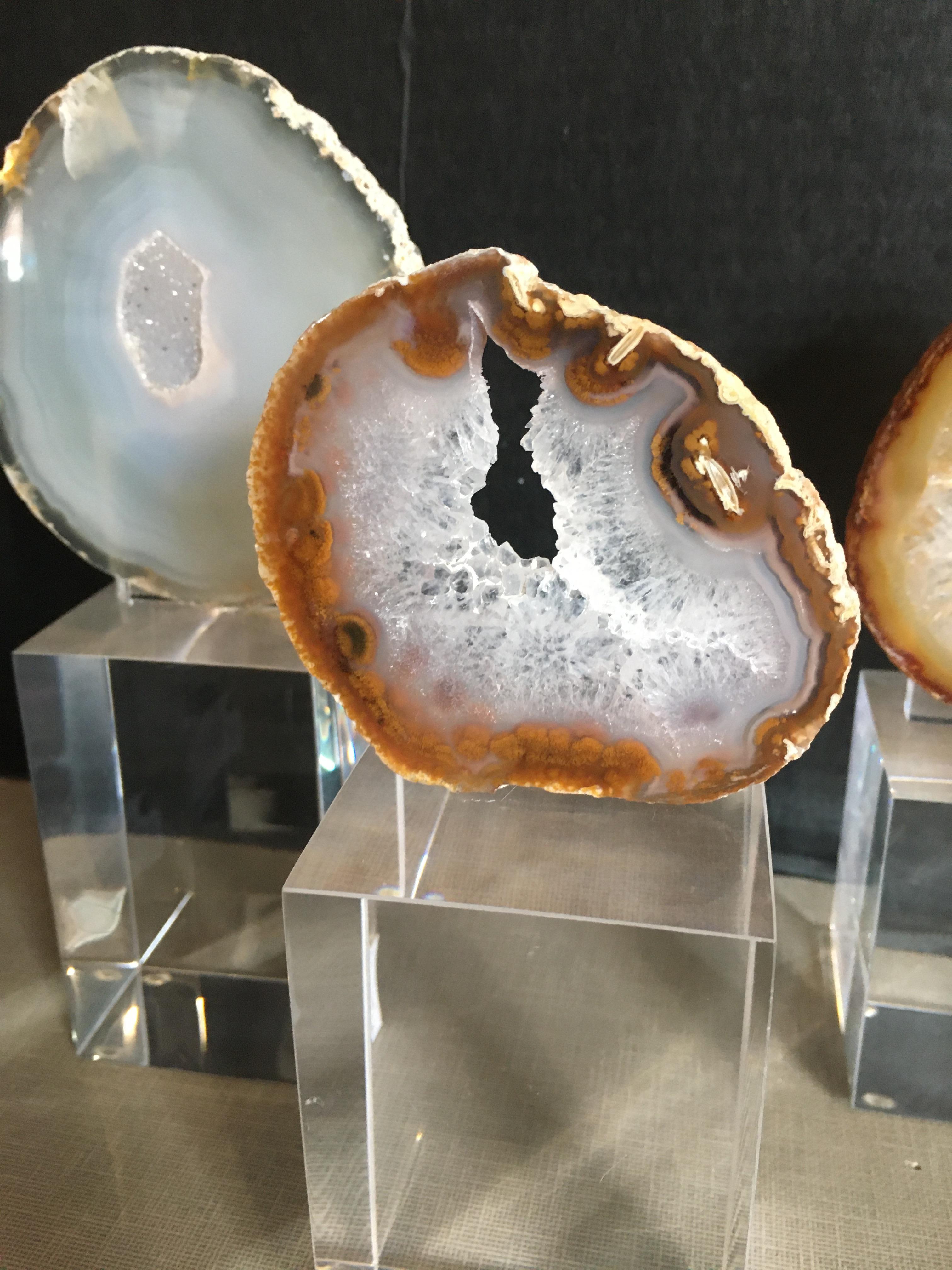 Collection of Agate Slices Mounted on Lucite 1