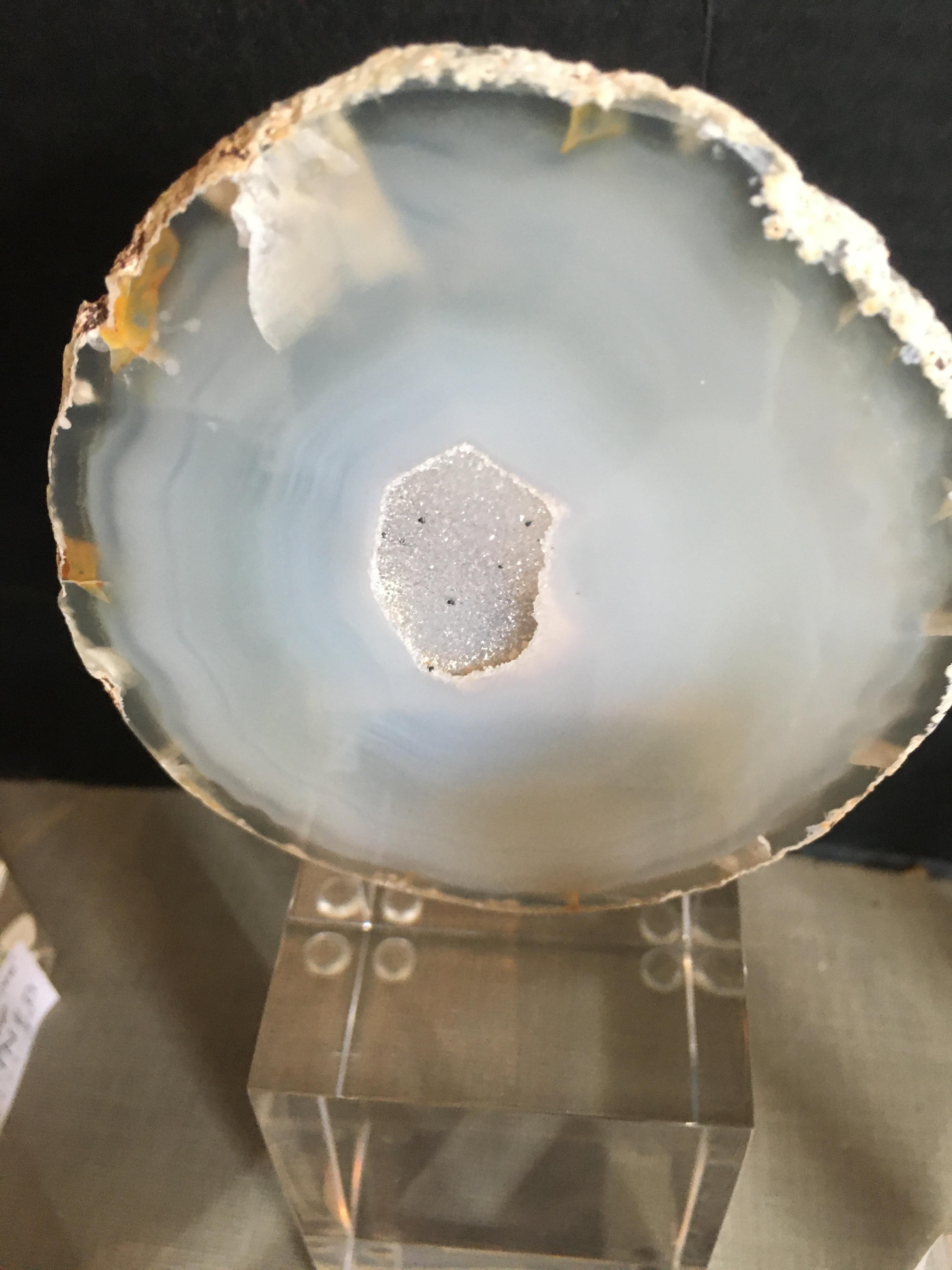 Collection of Agate Slices Mounted on Lucite 2