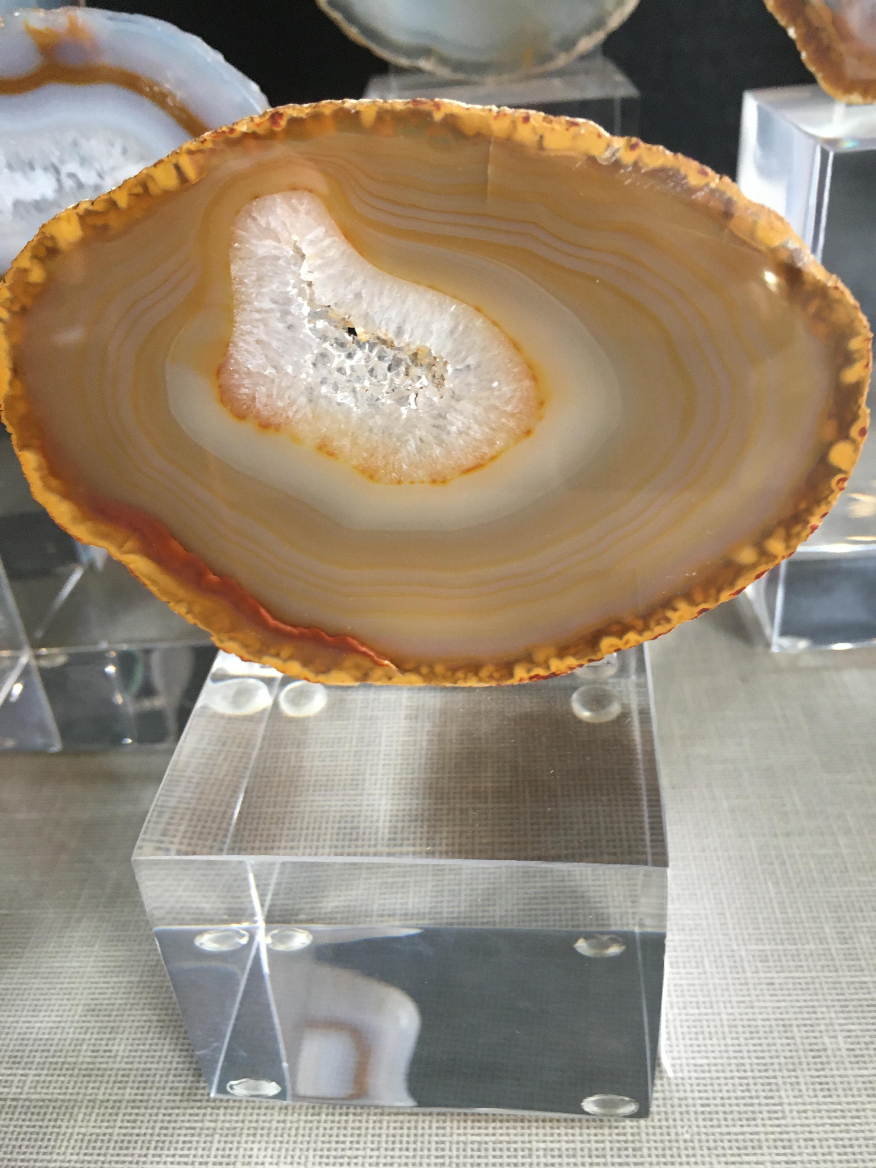 Collection of Agate Slices Mounted on Lucite 3