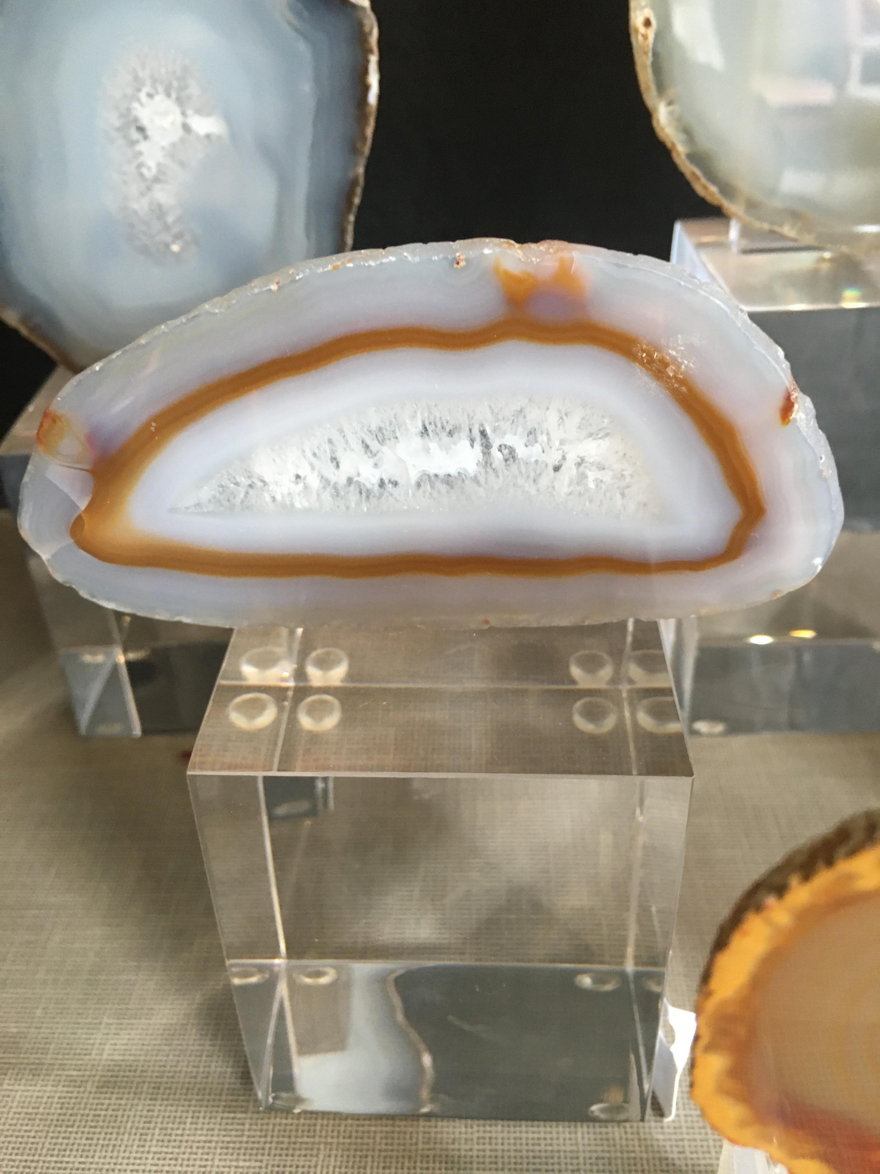 Collection of Agate Slices Mounted on Lucite 4