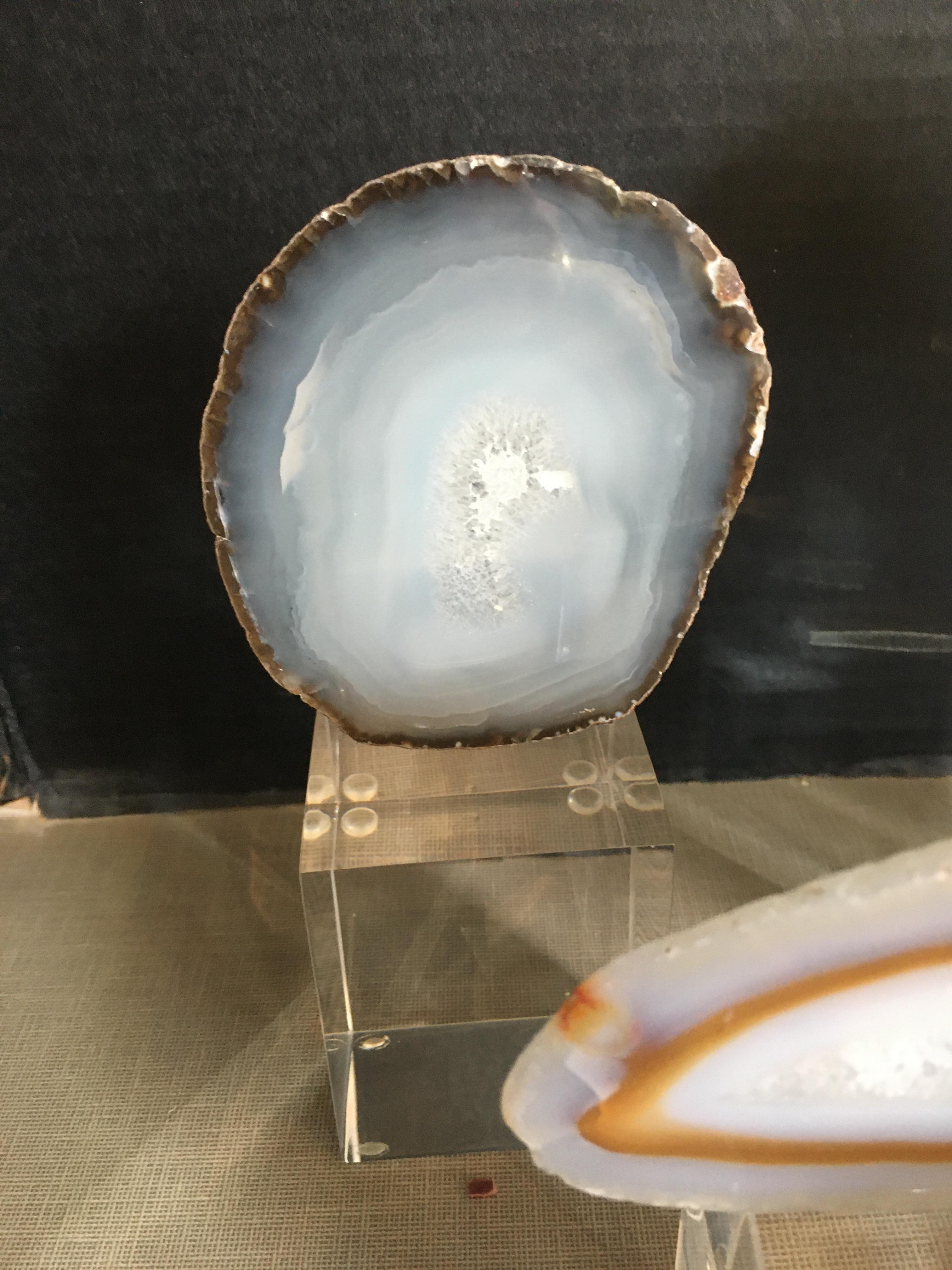 Collection of Agate Slices Mounted on Lucite 5