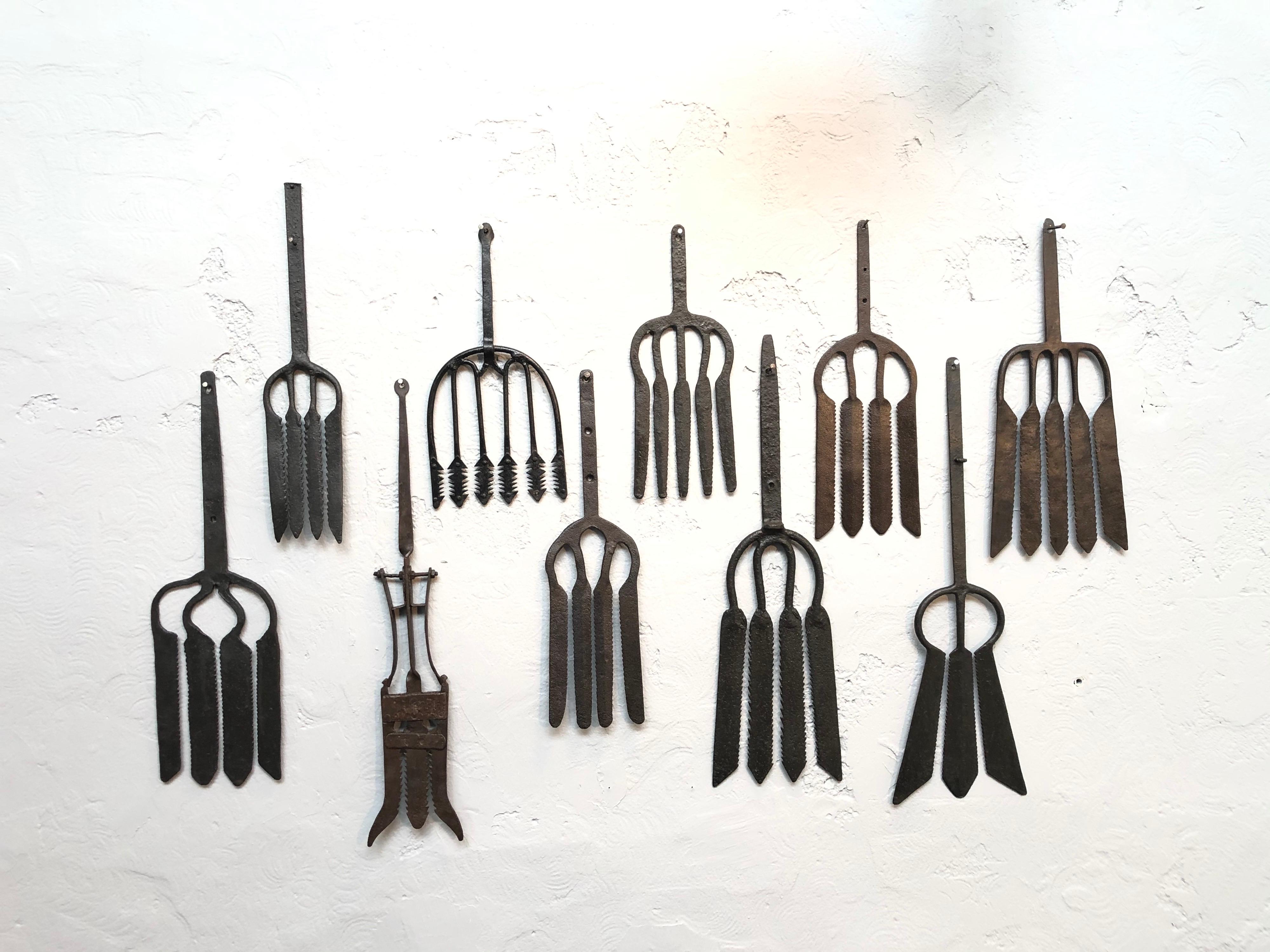 Collection of Antique Wrought Iron Eel Forks 6