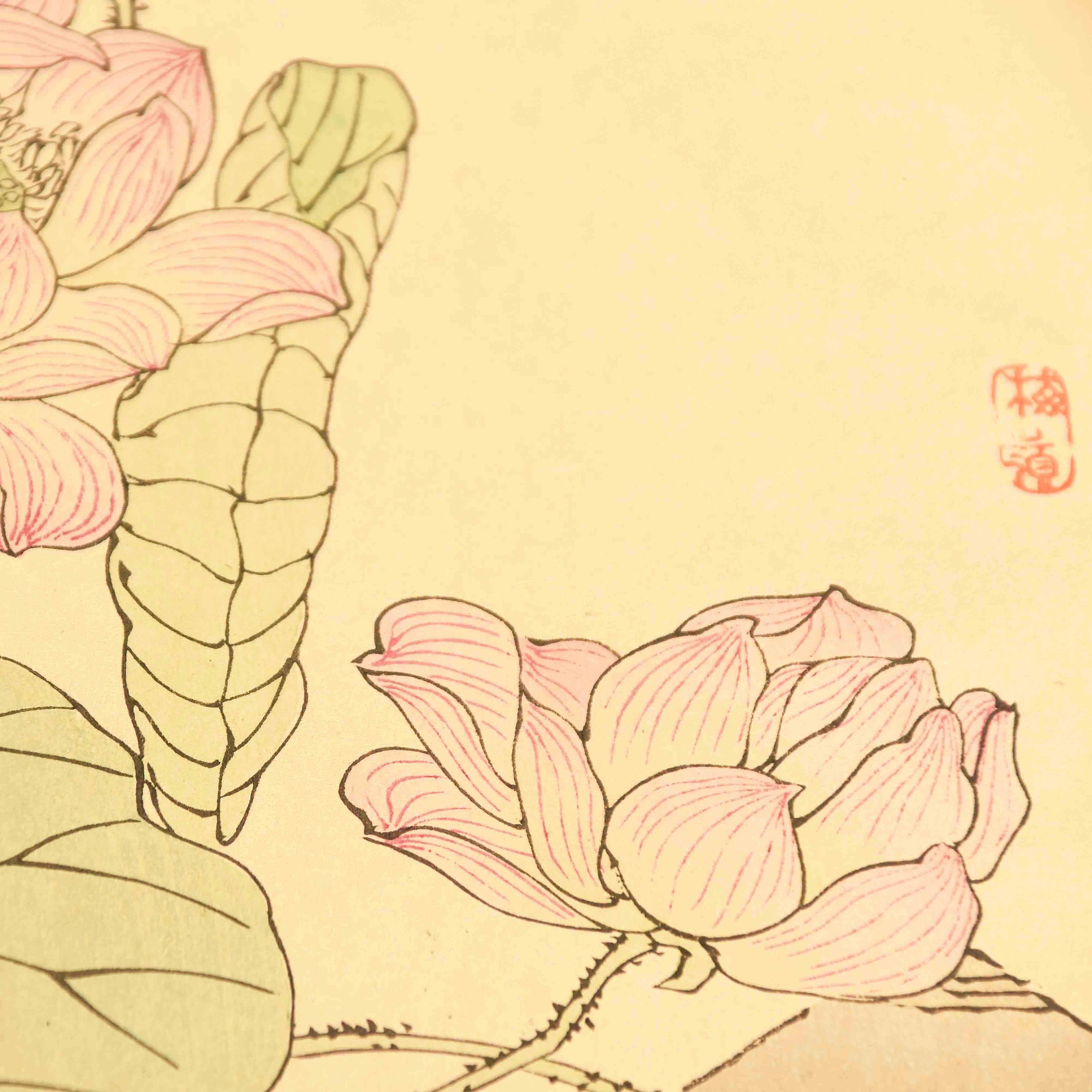 Kollektion von Drucken und Gemälden von Vögeln und Blumen von Kono Bairei (19. Jahrhundert) im Angebot