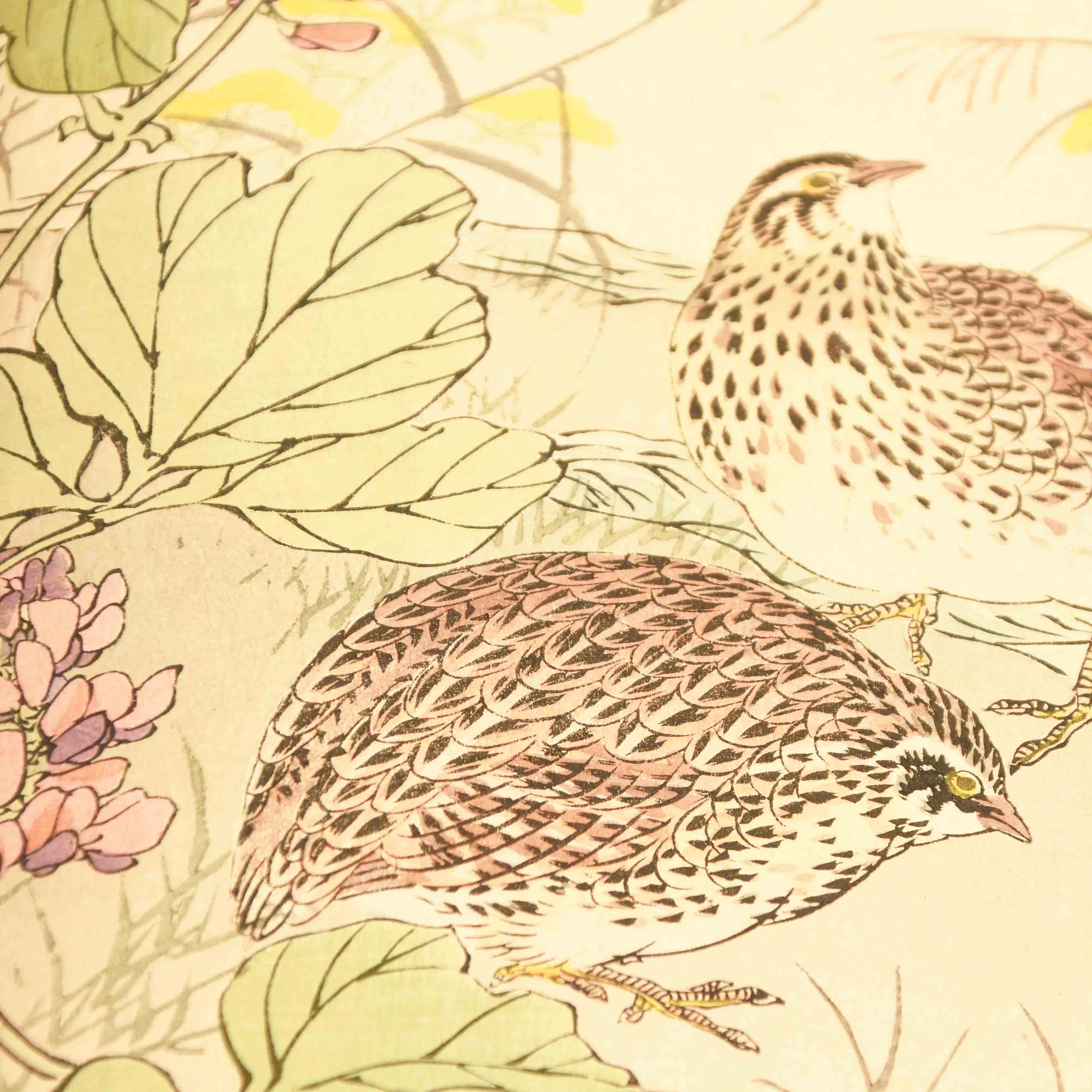Paper Collection of Prints and Paintings of Birds and Flowers by Kono Bairei For Sale