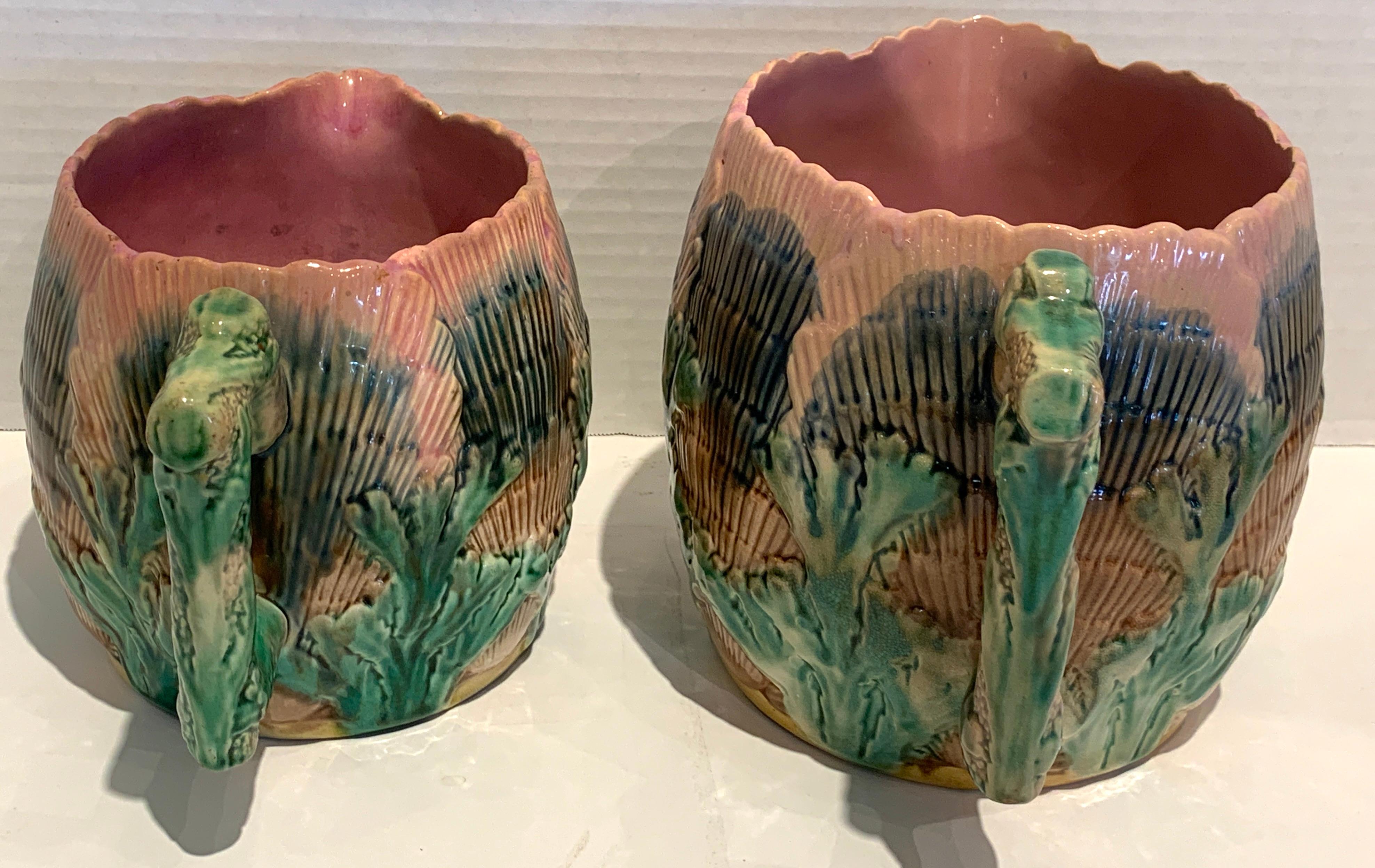 19th Century Collection of Six Etruscan Majolica Shell and Seaweed Pitchers For Sale