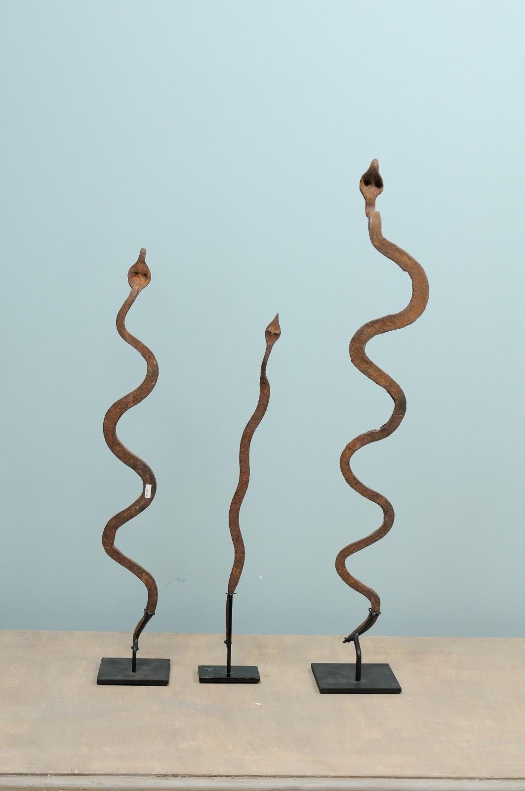 Forged Collection of Three Lobi Snake Currencies on Stand For Sale