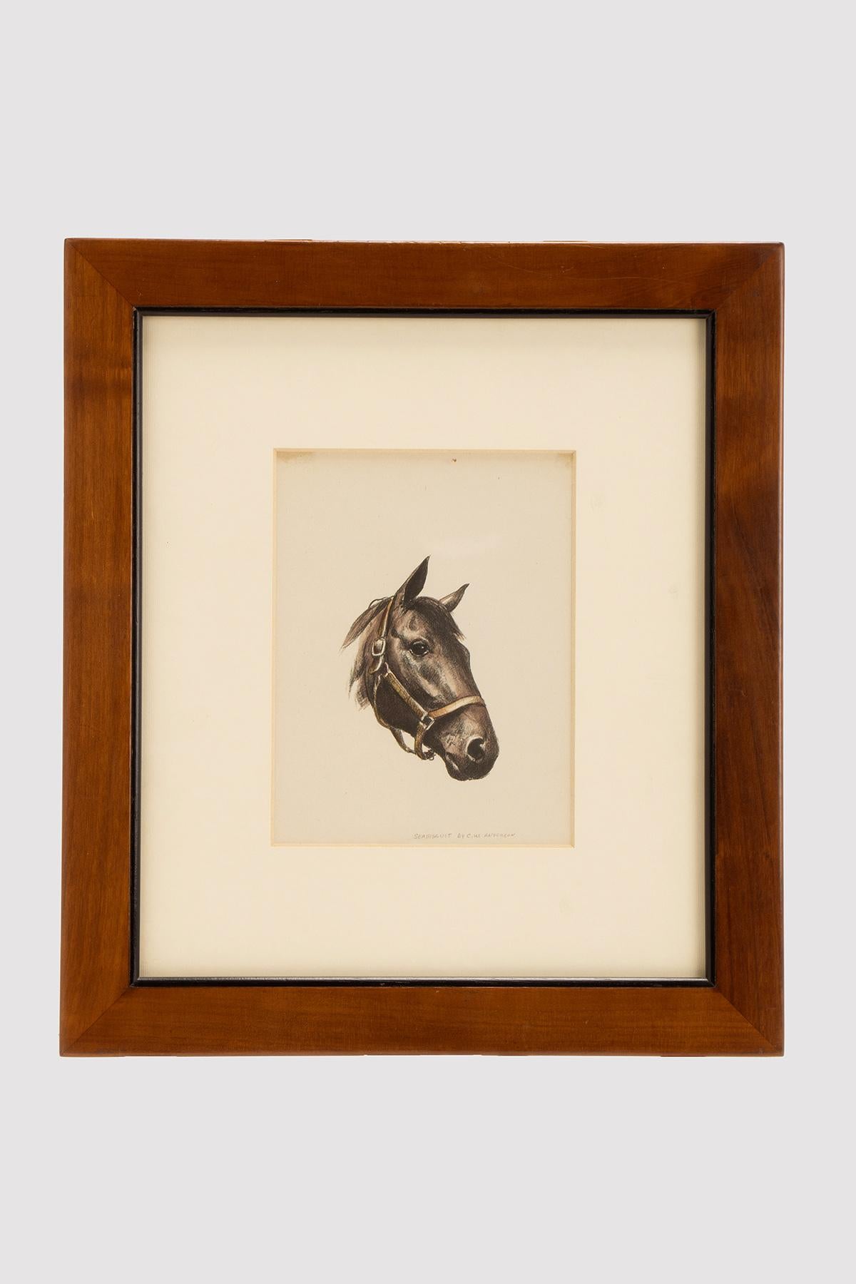 Lithographie en couleur représentant une tête de cheval. Signé C.I.C. Anderson. Cerisier massif (Prunus Avium, Linnaeus 1755), cadre poli et ciré à la cire d'abeille. États-Unis vers 1950.