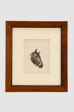 A color lithograph depicting a horse head, United States of America 1950.