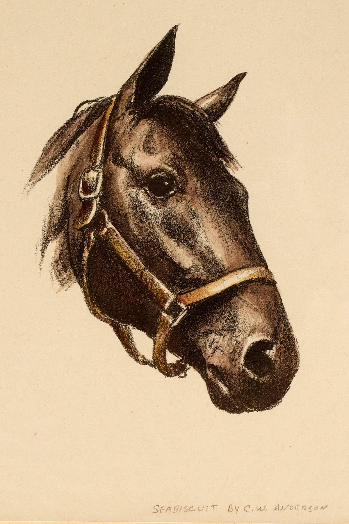 Américain Lithographie en couleur représentant une tête de cheval, États-Unis d'Amérique 1950. en vente