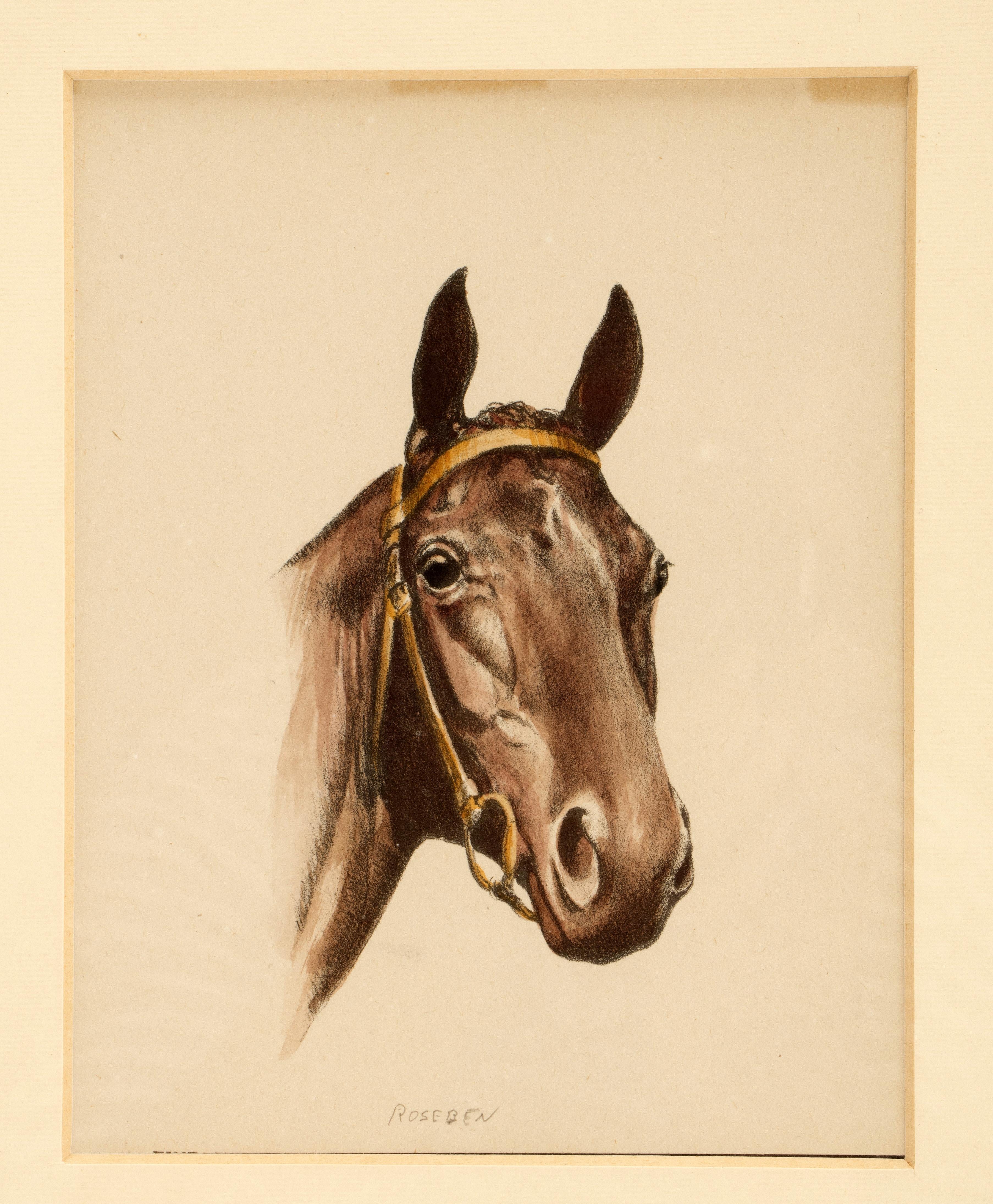 Eine Farblithographie, die einen Pferdekopf Rosebend darstellt. Gezeichnet C. W. Anderson. Massiver Kirschholzrahmen, poliert und bienengewachst. Usa um 1950.
