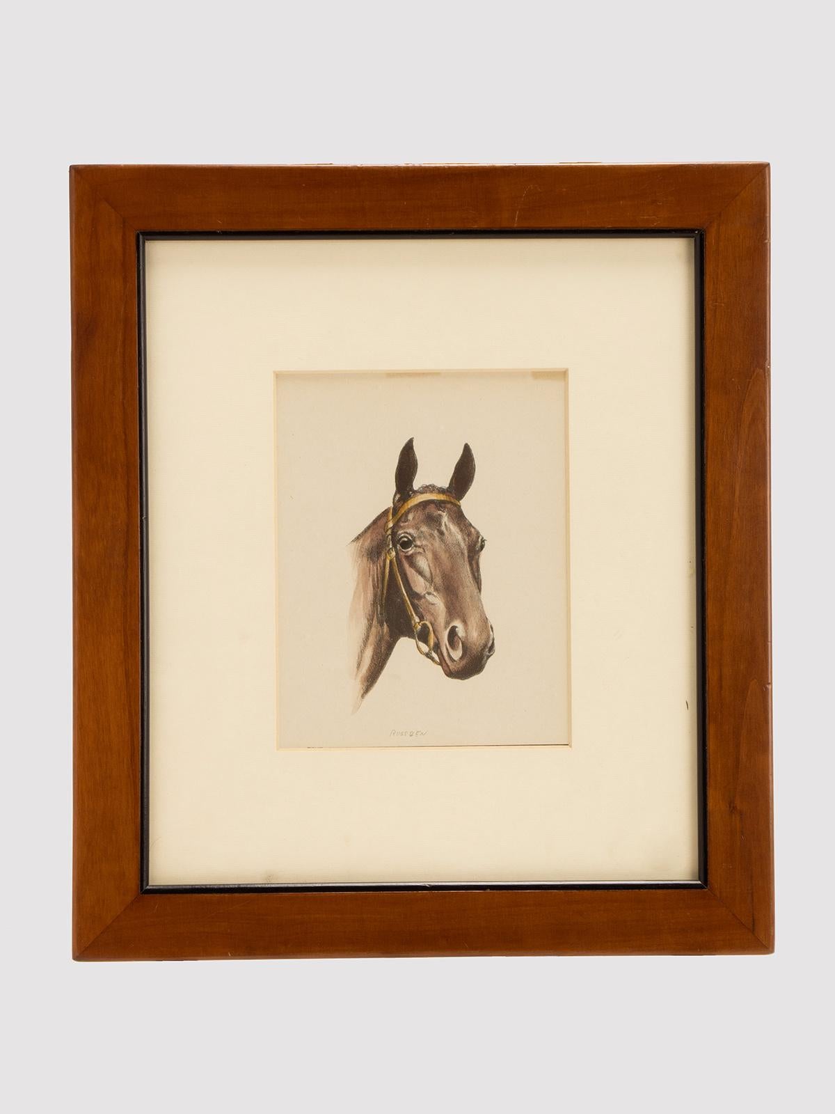 Lithographie en couleur, représentant une tête de cheval Rosebend. Signé C.I.C. Anderson. Cadre en cerisier massif, poli et ciré à la cire d'abeille. États-Unis vers 1950.