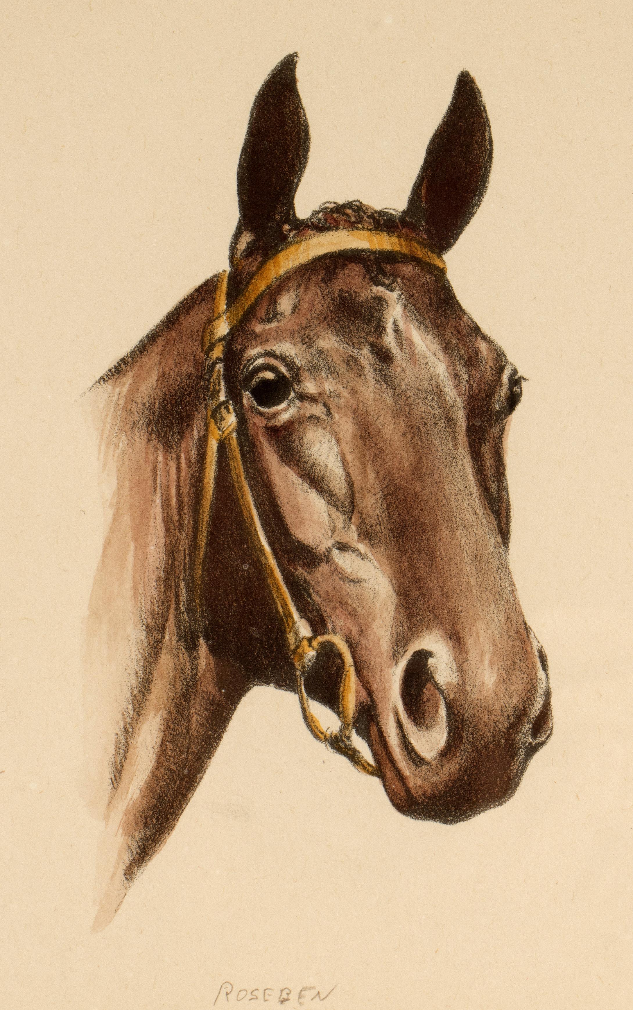 Farblithographie mit der Darstellung eines Pferdekopfes, USA 1950 (amerikanisch) im Angebot