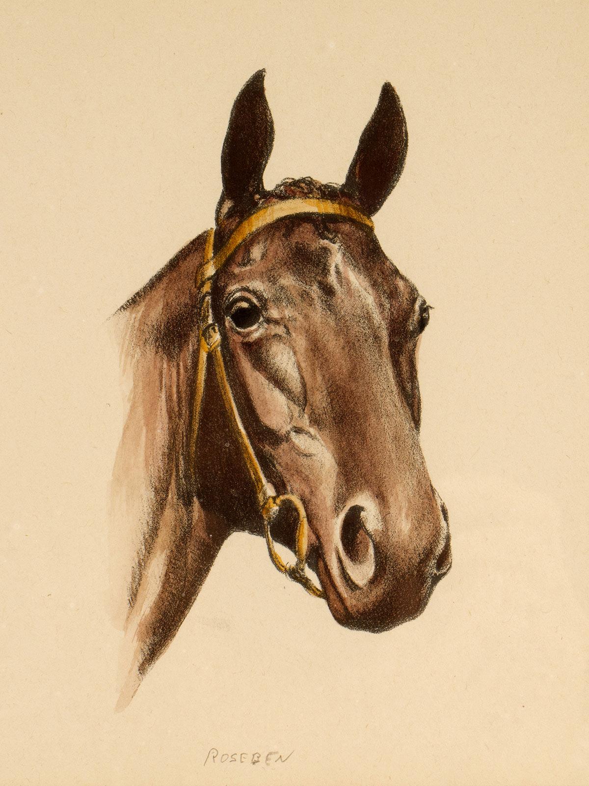 Lithographie en couleur représentant une tête de cheval, États-Unis 1950. Bon état - En vente à Milan, IT