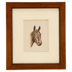 A color lithograph depicting a horse head, USA 1950.
