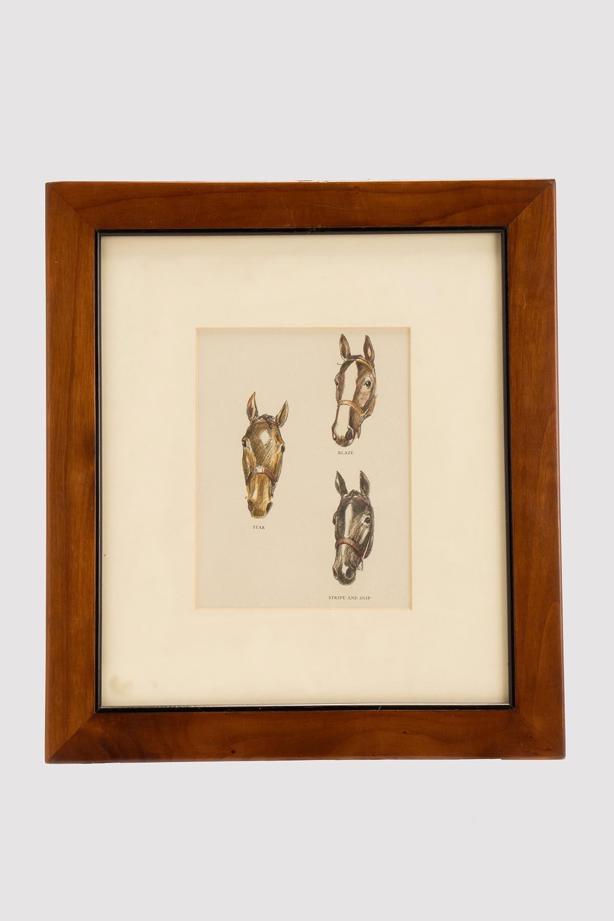Eine Farblithographie, die drei Pferdeköpfe darstellt. Gezeichnet C. W. Anderson. Massives Kirschholz (Prunus Avium, Linnaeus 1755), Rahmen, poliert und mit Bienenwachs behandelt. Vereinigte Staaten von Amerika um 1950.