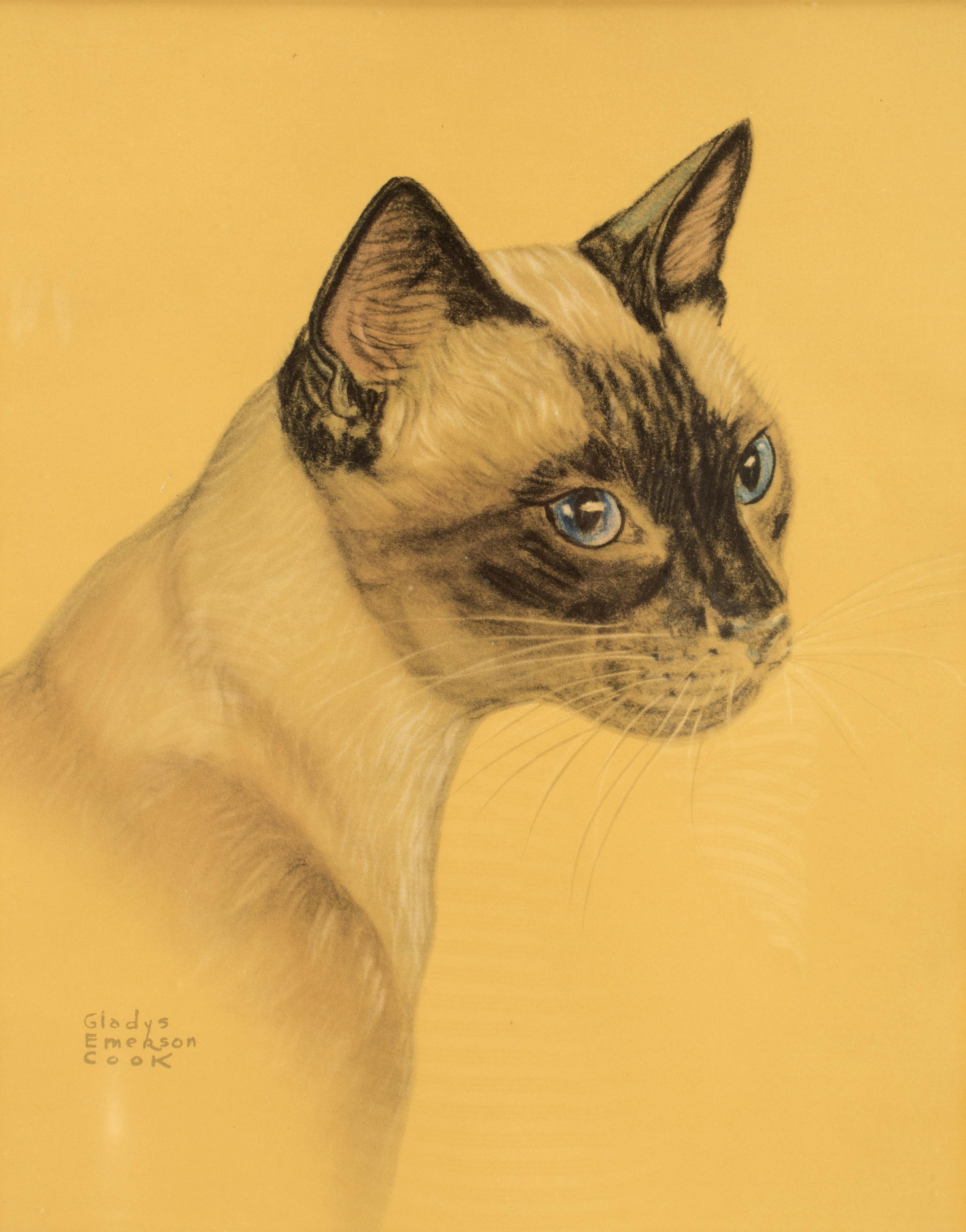 A color print, depicting a siamese cat. Gladys Emerson Cook. Solid cherry wood frame, polished and beeswaxed. USA circa 1940.