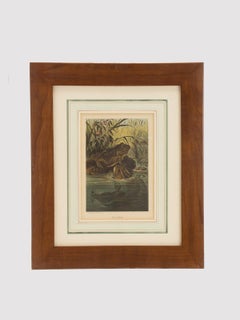 A color print depicting frogs in a pond, USA 1898.
