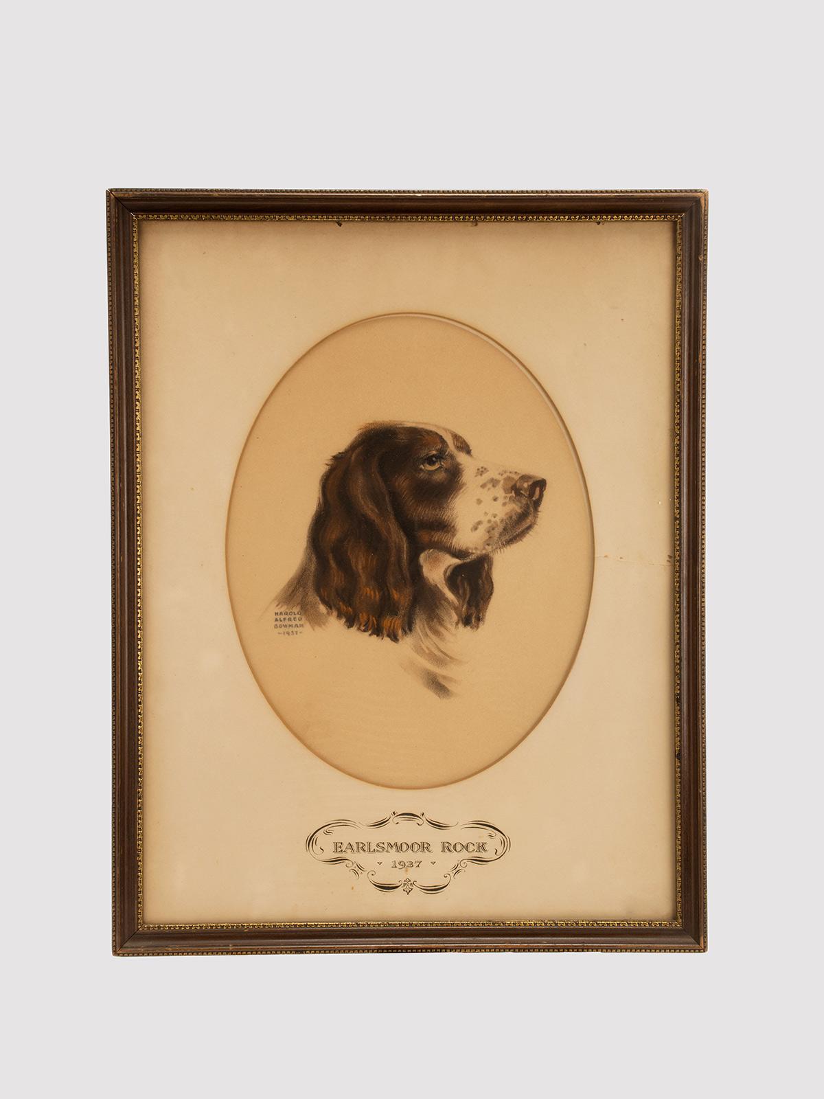 Une gravure en couleur, représentant la tête de Earlsmoor Rock, un chien cocker. Harold Alfred Bowmans. Cadre d'origine en bois fruitier ébonisé et doré avec verre. États-Unis, vers 1937.