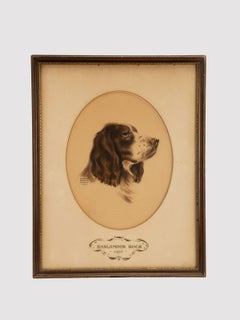 A color print depicting the head of a cocker spaniel dog, USA 1937.