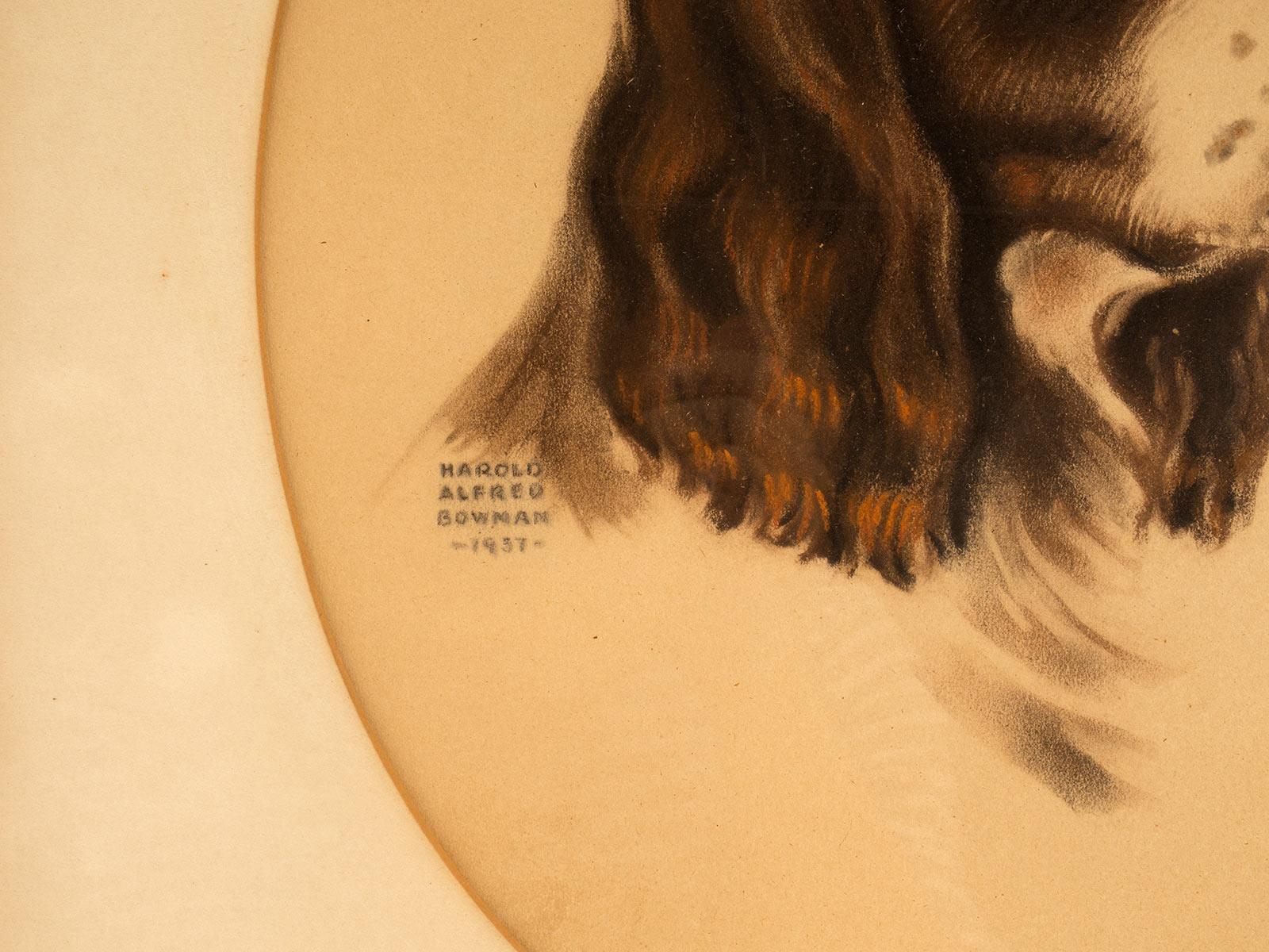 20ième siècle Épreuve en couleurs représentant la tête d'un chien cocker, États-Unis 1937. en vente