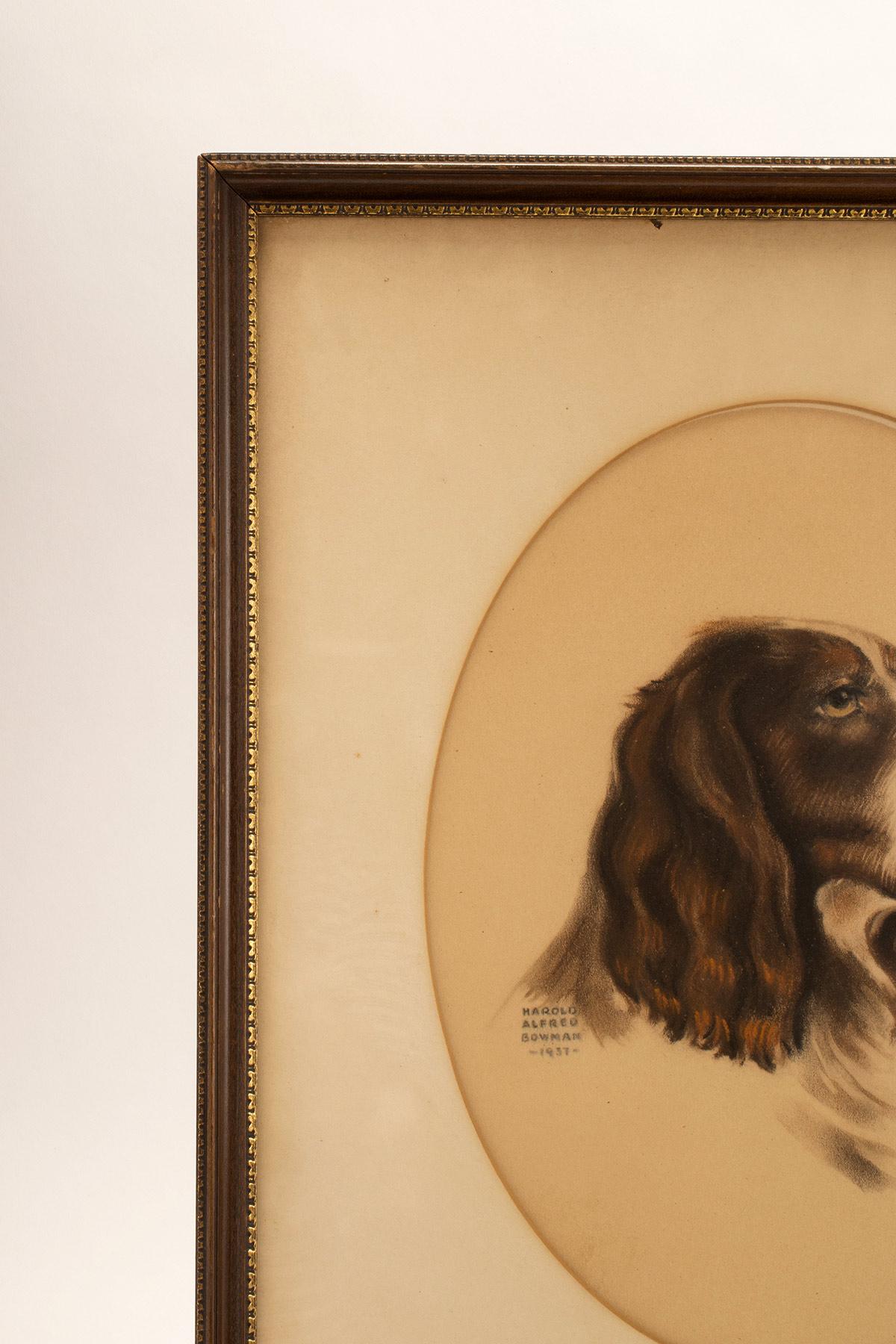 Verre Épreuve en couleurs représentant la tête d'un chien cocker, États-Unis 1937. en vente