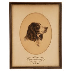 A color print depicting the head of a cocker spaniel dog, USA 1937.
