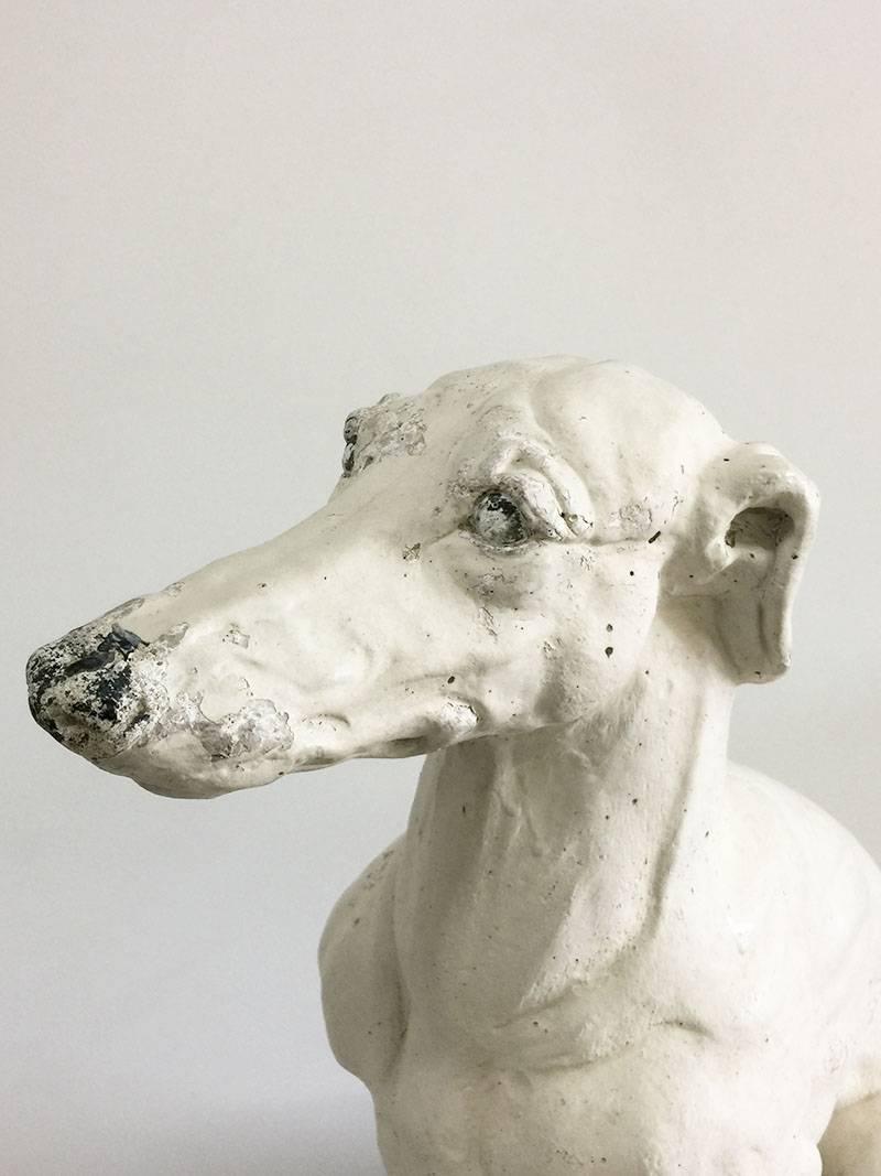 British Concrete stone dog Statue of a Whippet Dog For Sale