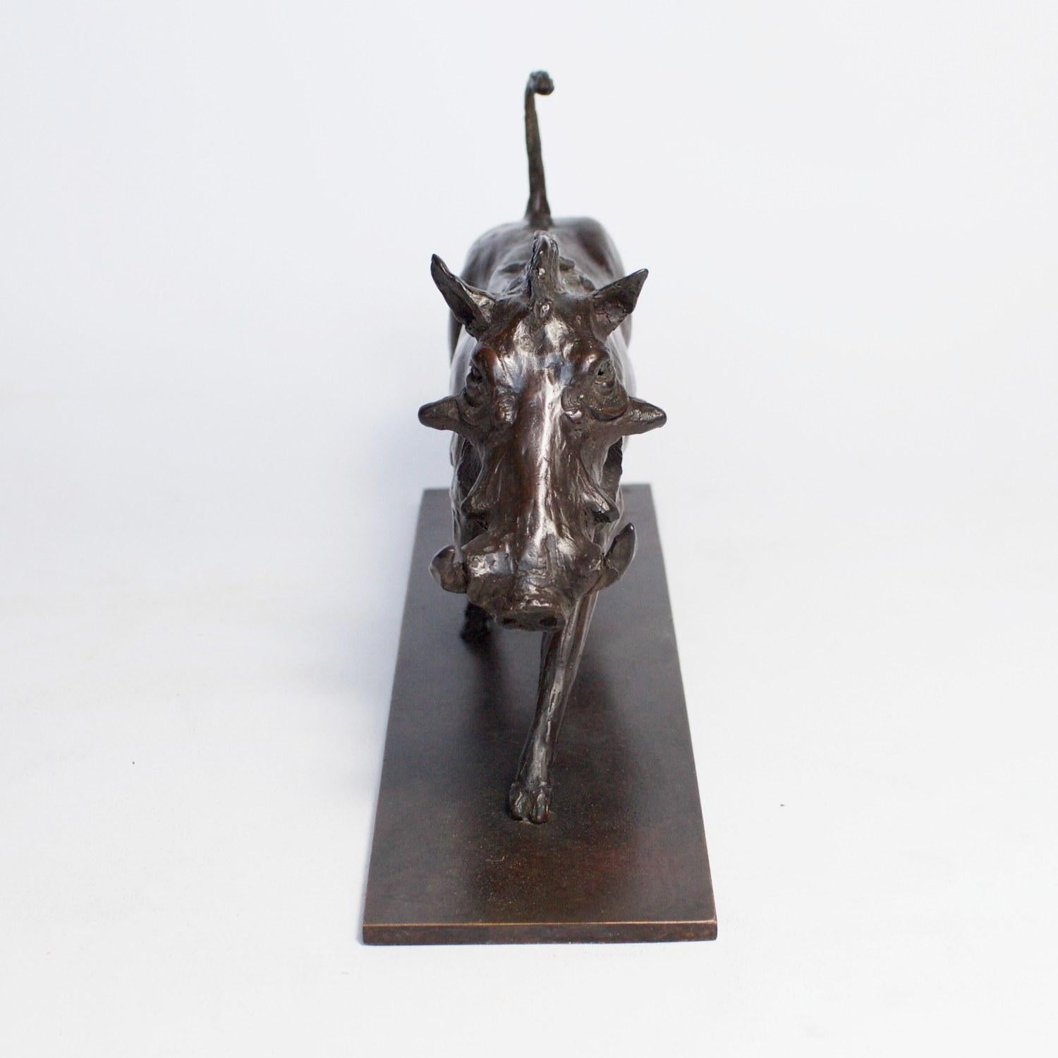 Contemporary Bronze Sculpture of a Trotting Warthog by Jenna Gearing 1