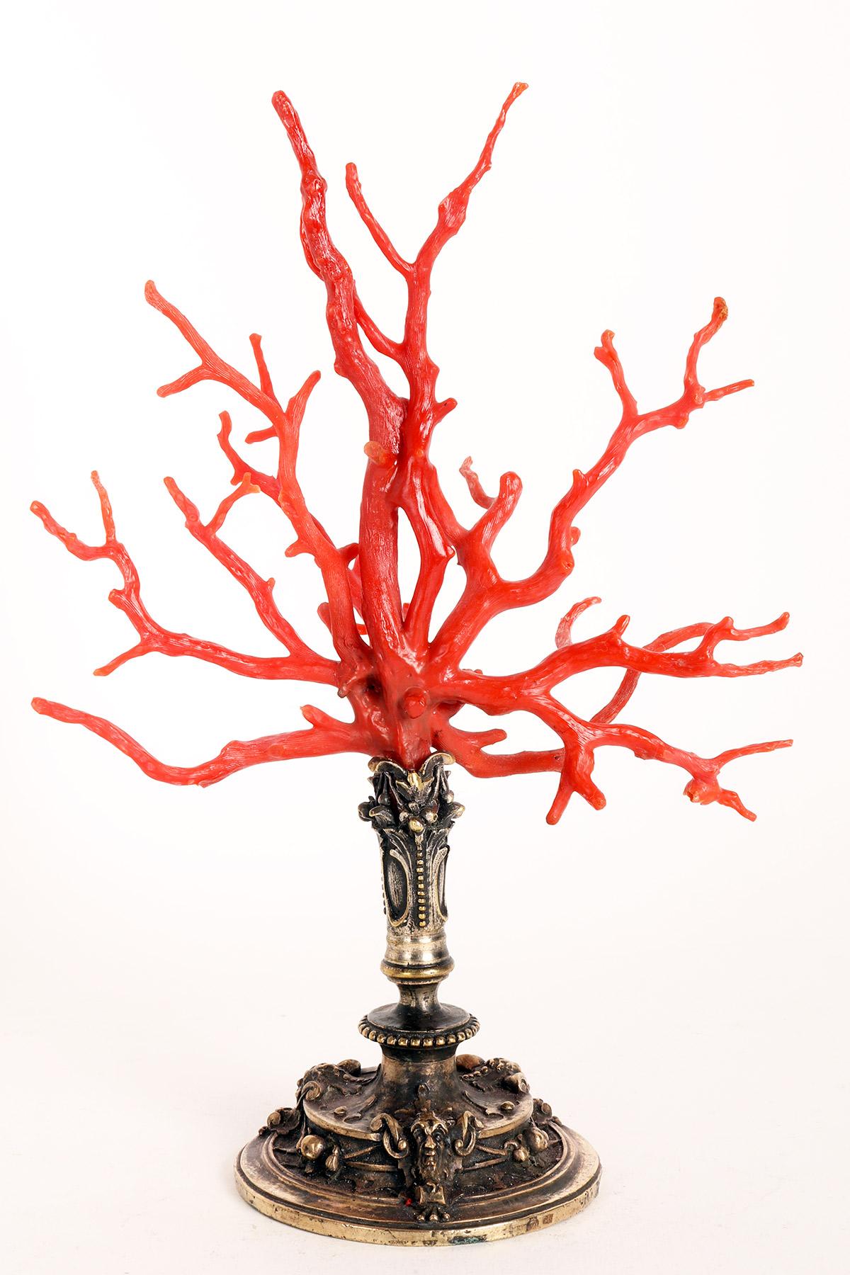 Bronze Coral Branch from Wunderkammer, Caltagirone, Sicily, Italy 1820