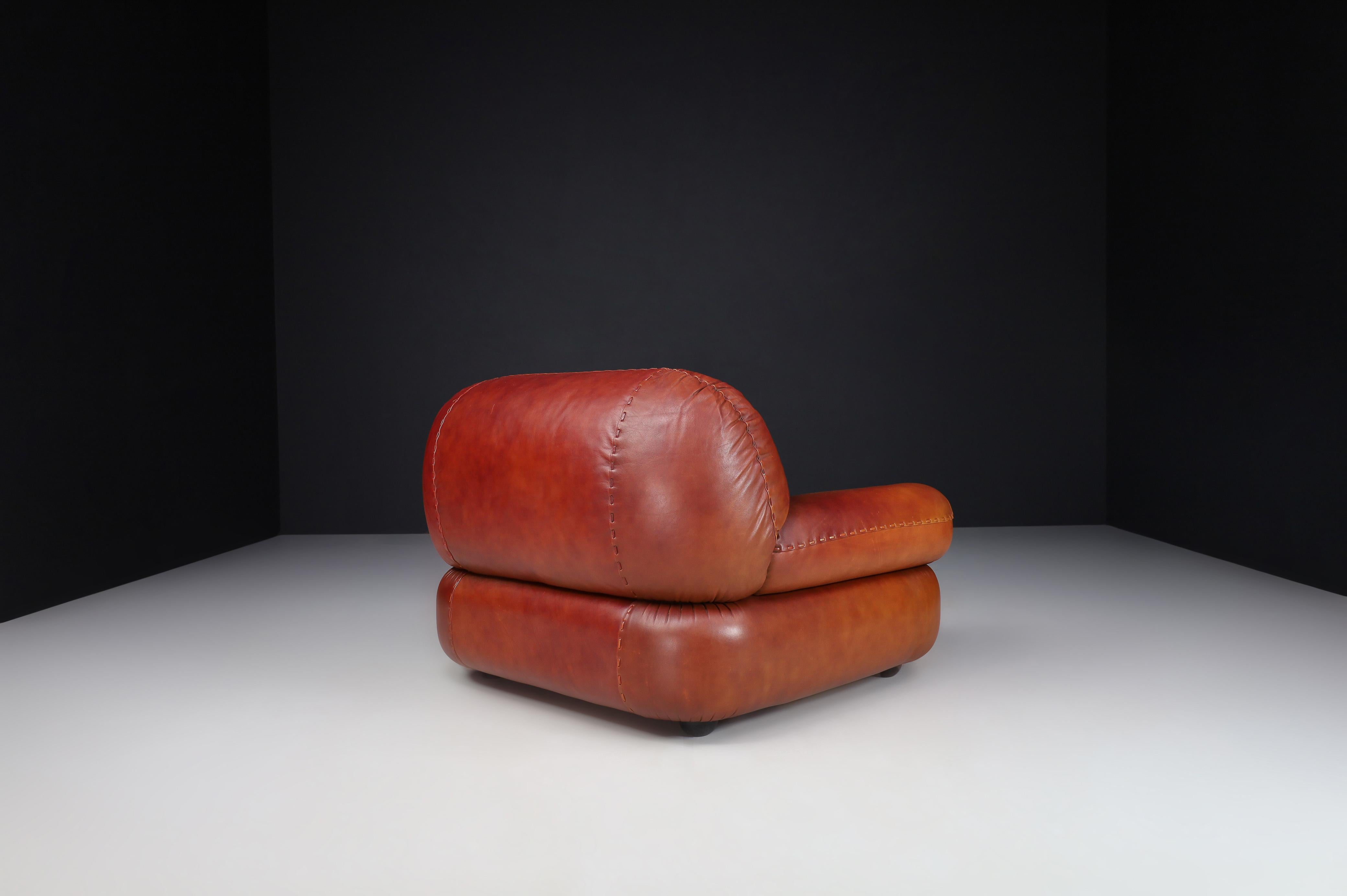 A couple of Lounge Chairs in Patinated CognacLeather by Sapporo for Mobil Girgi For Sale 4