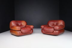 A couple of Lounge Chairs in Patinated CognacLeather by Sapporo for Mobil Girgi