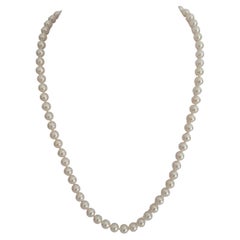 A Cultured Pearls Necklace AAA Quality White Color and High Luster