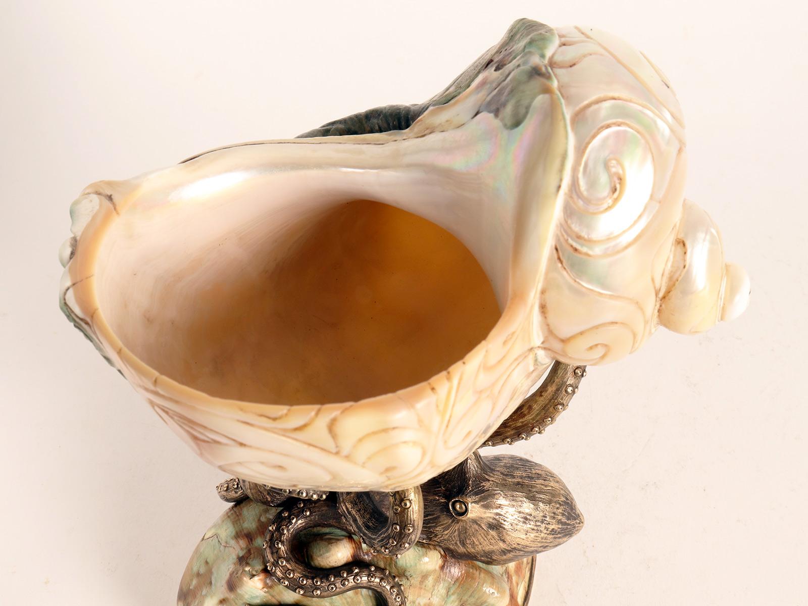 A cup with a shell of Turbo marmoratus, Germany 1870.  10